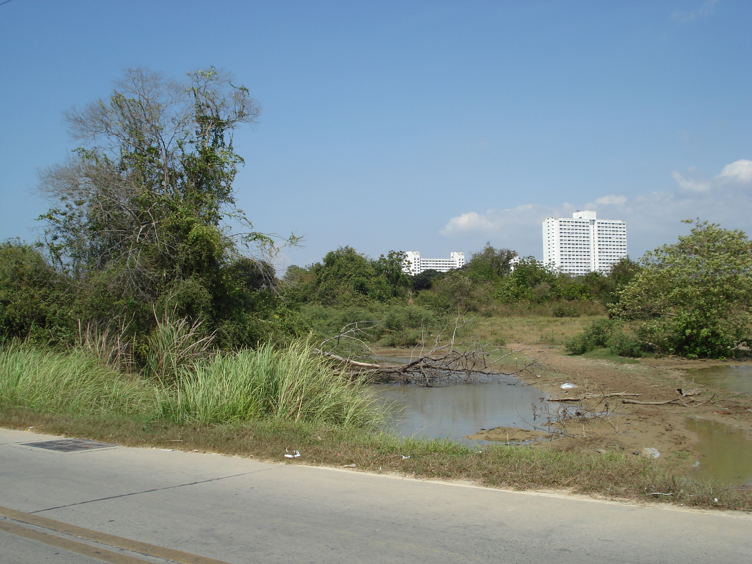 照片 泰国(Thailand) 宗甸(Jomtien) 2007-02 26