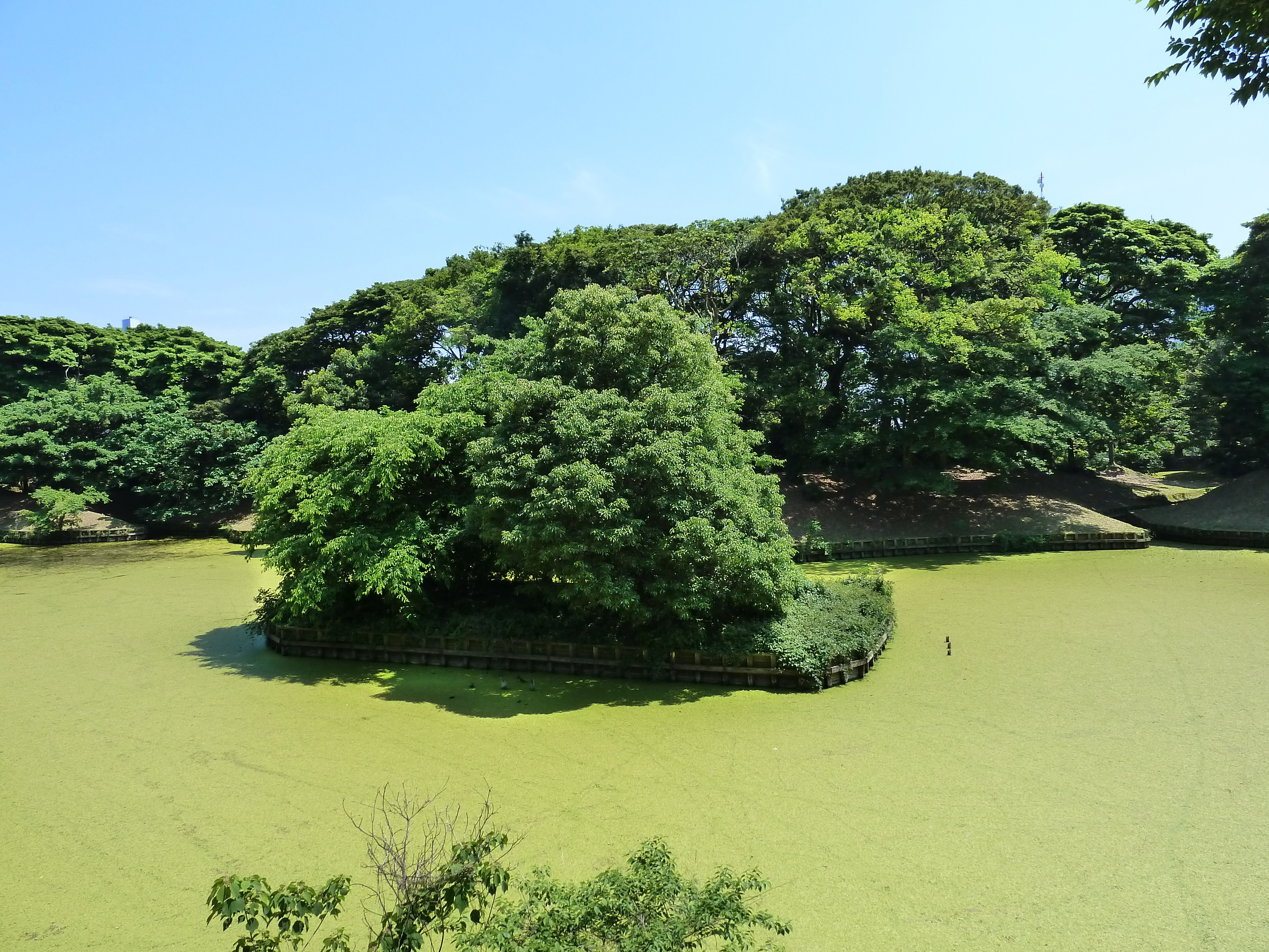 照片 日本(Japan) 东京(Tokyo) 滨离宫恩赐庭园(Hama rikyu Gardens) 2010-06 70