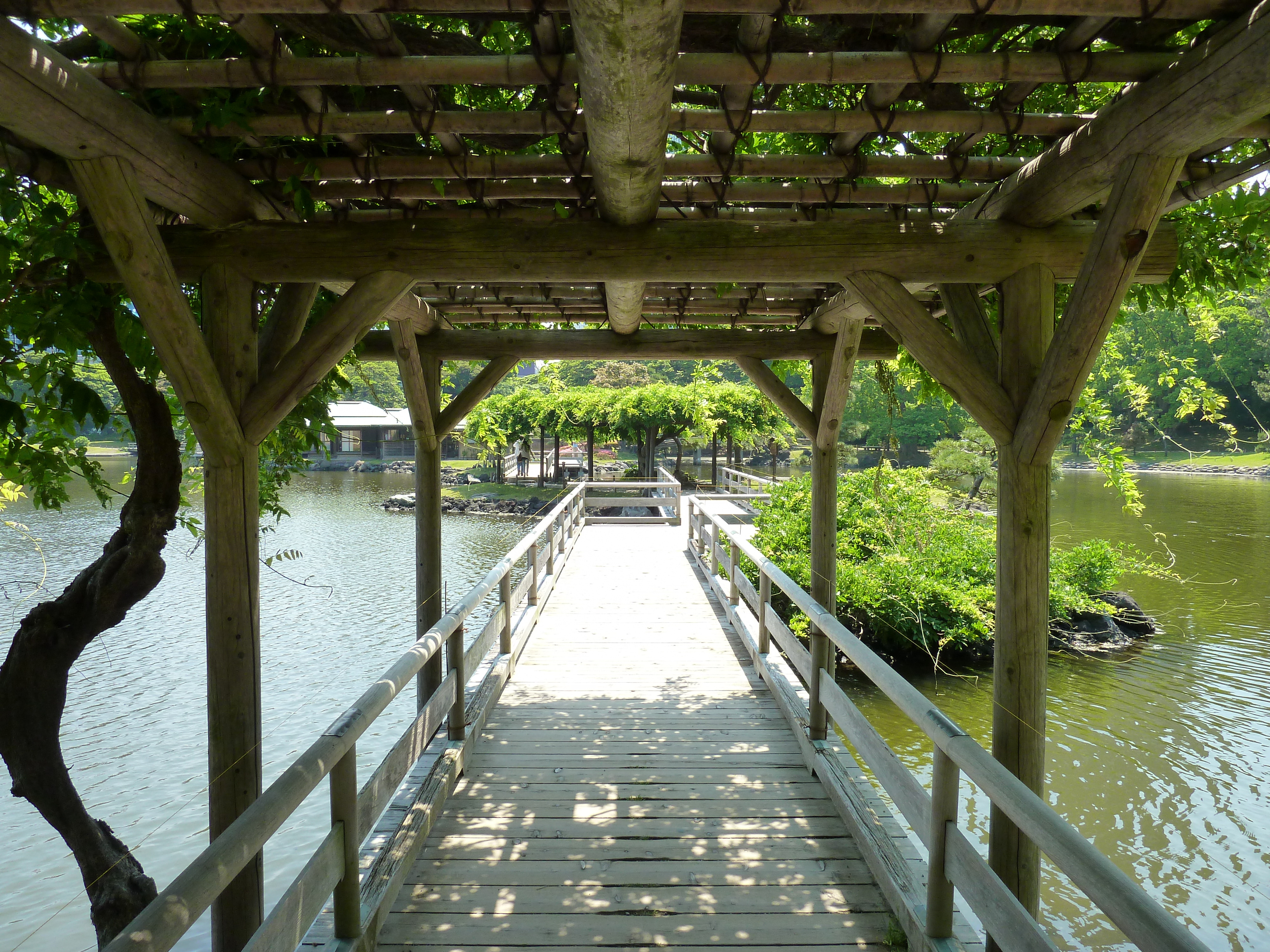 照片 日本(Japan) 东京(Tokyo) 滨离宫恩赐庭园(Hama rikyu Gardens) 2010-06 81