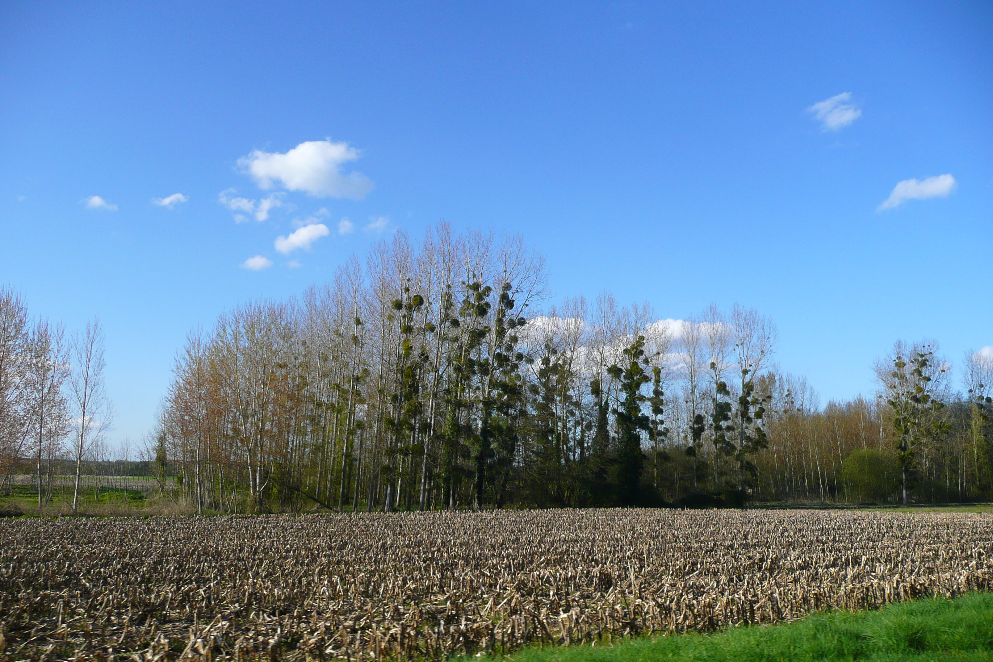 照片 法国(France) 昂布瓦斯(Amboise) 昂布瓦斯至布卢瓦公路(Amboise to blois road) 2008-04 41