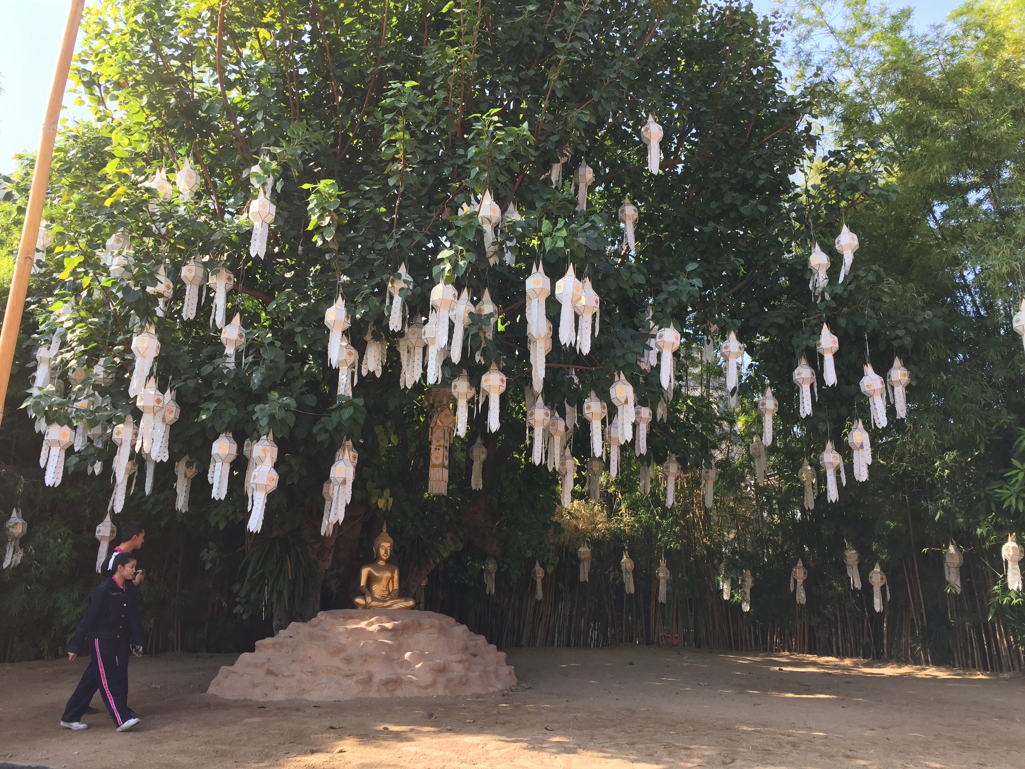 照片 泰国(Thailand) 清迈(Chiang Mai) 2014-12 51