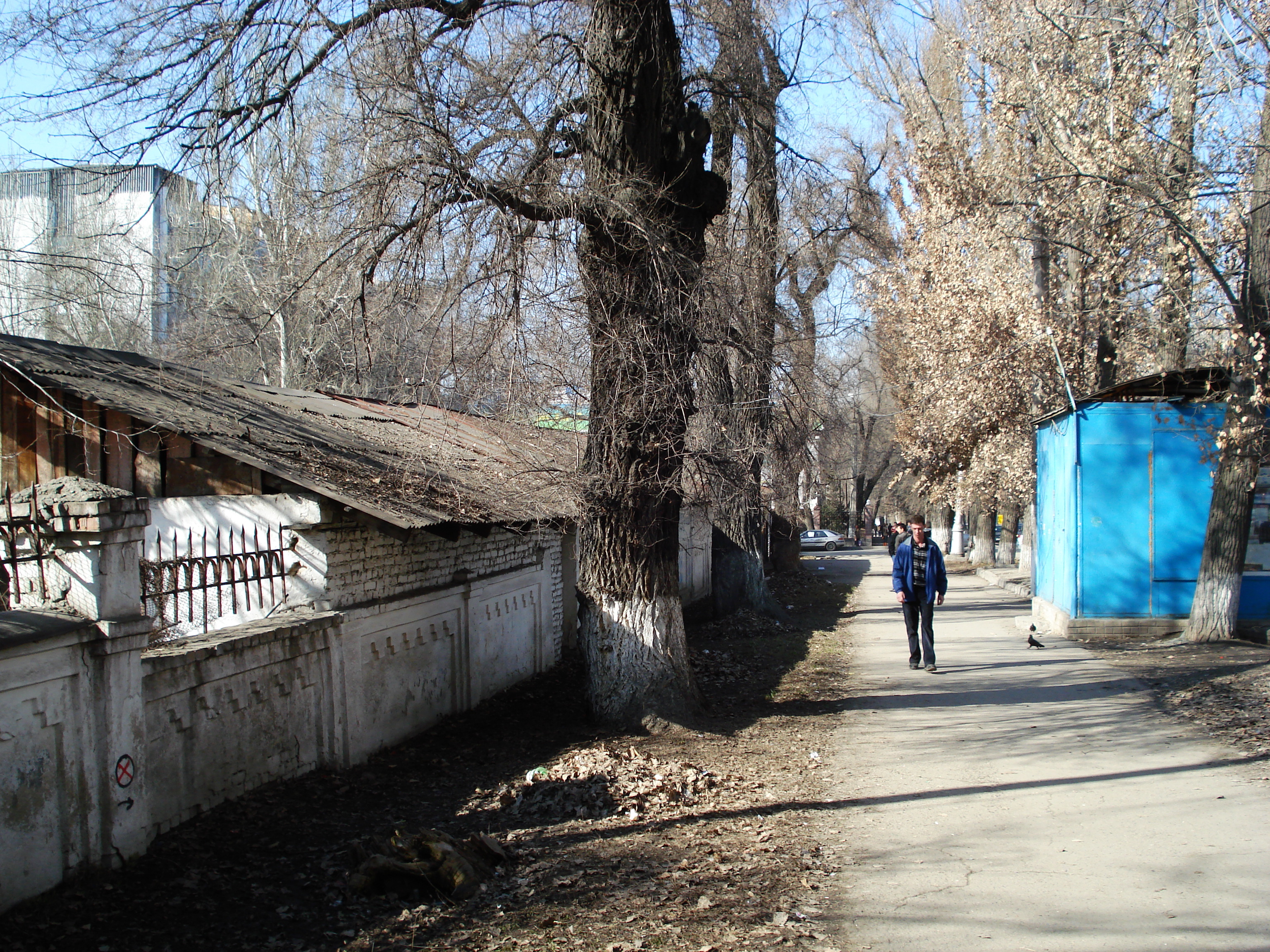 照片 哈萨克斯坦(Kazakhstan) 阿拉木图(Almaty) 2007-03 165