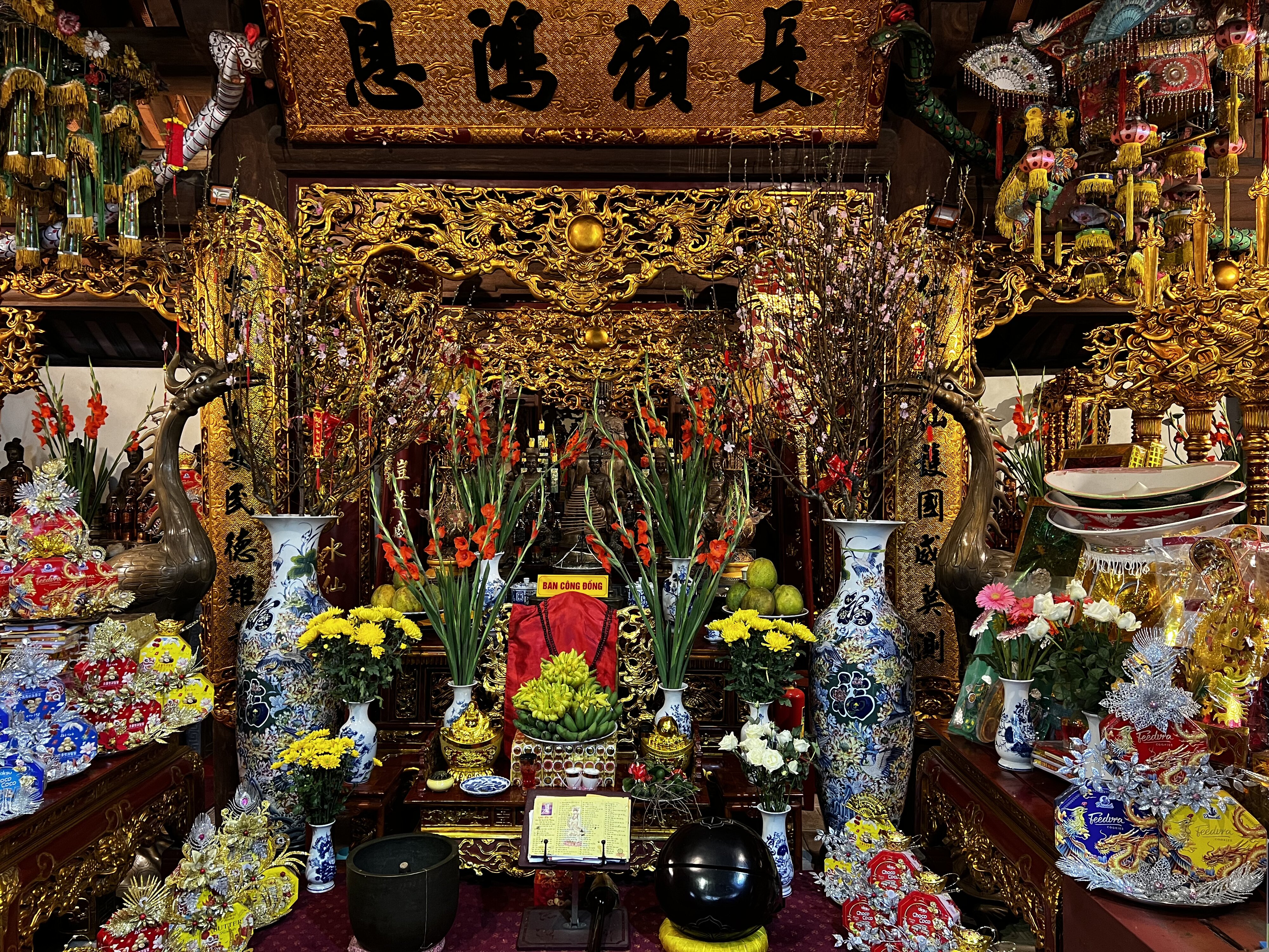 照片 越南(Vietnam) 河内(Hanoi) 西湖(Tay Lake) 2024-01 0