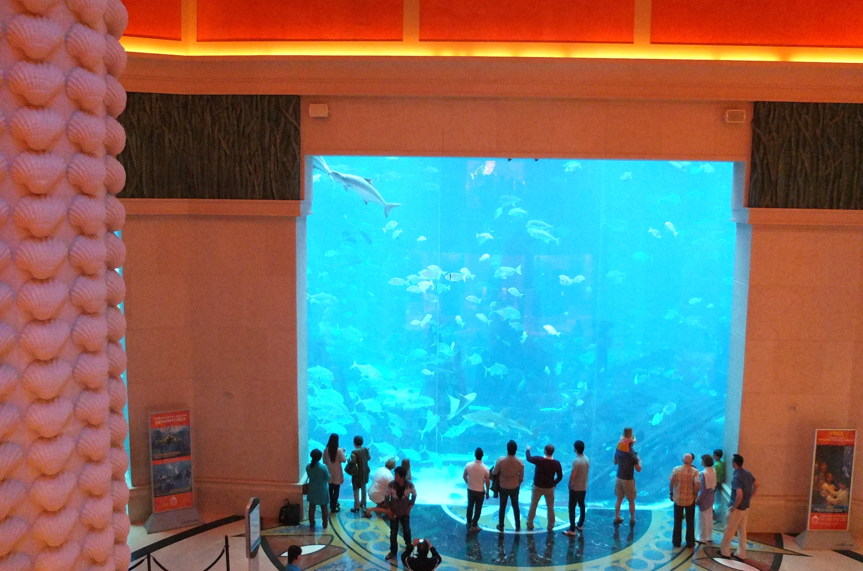 照片 阿联酋(United Arab Emirates) 迪拜(Dubai) 亚特兰蒂斯酒店(Atlantis Hotel) 2014-02 189
