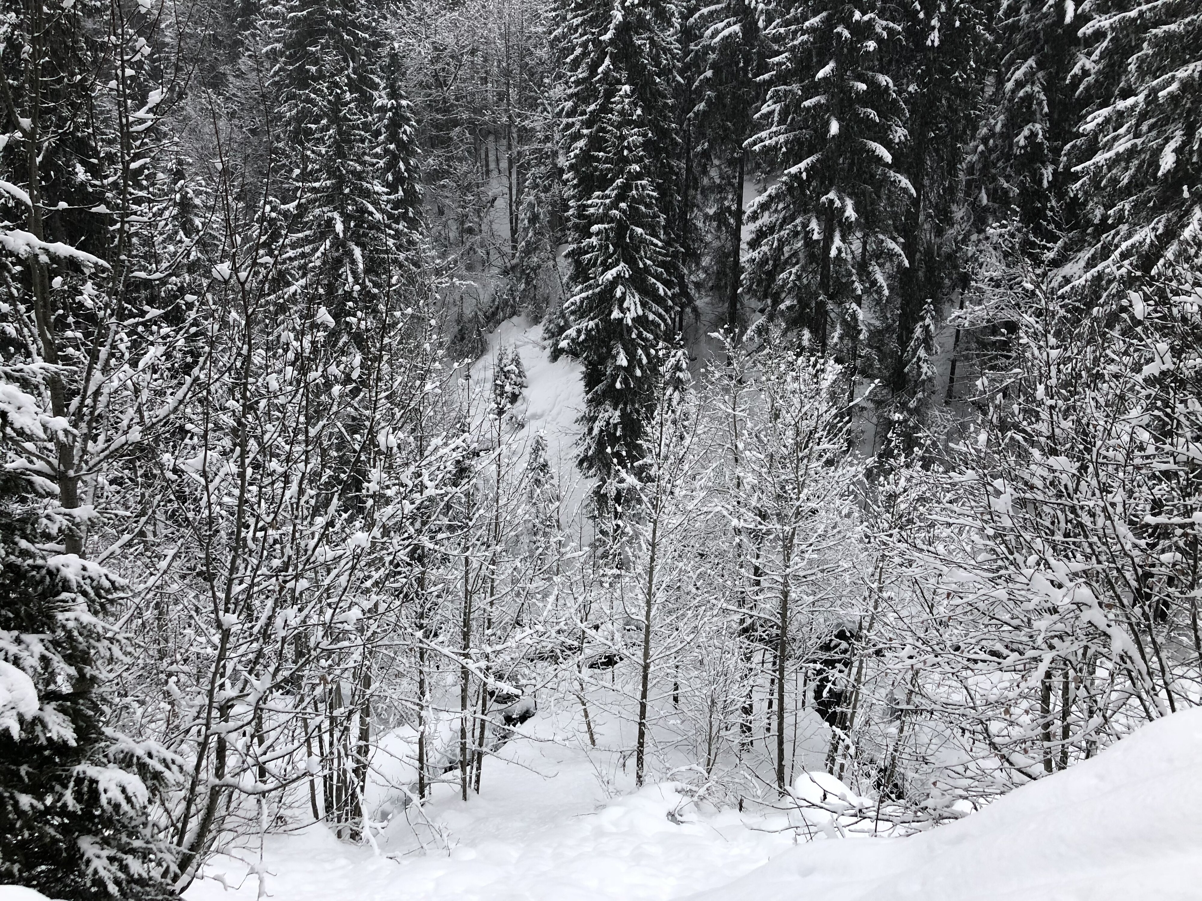照片 法国(France) 拉克吕萨(La Clusaz) 2017-12 74