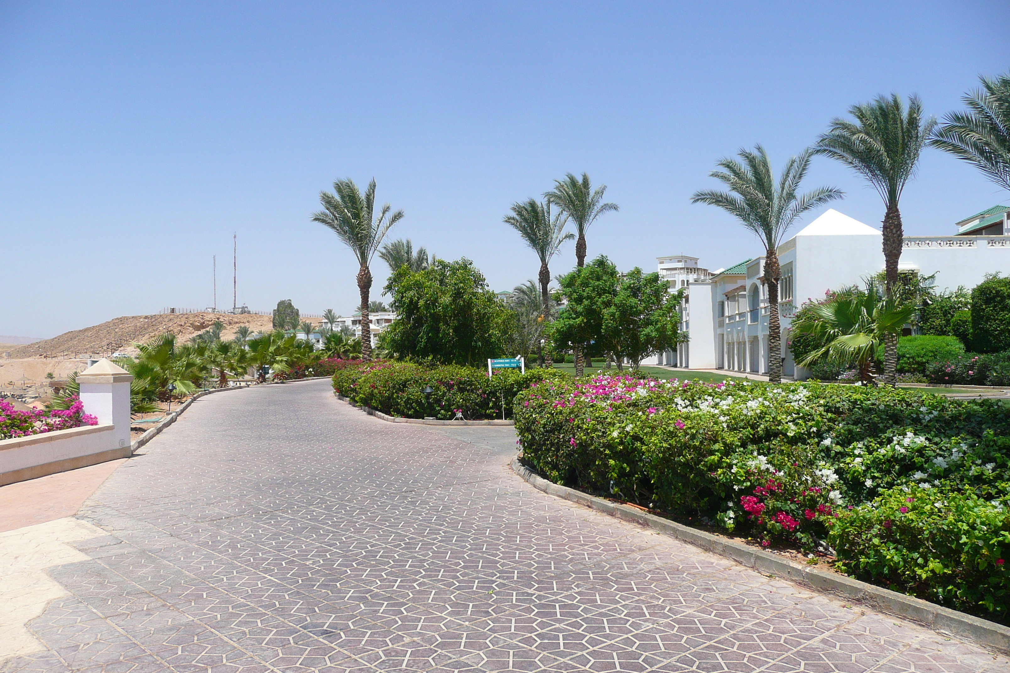 照片 埃及(Egypt) 沙姆沙伊赫(Sharm el Sheikh) 凯悦酒店(Hyatt Hotel) 沙姆沙伊赫凯悦海滩(Hyatt Sharm el Sheikh Beach) 2008-06 41