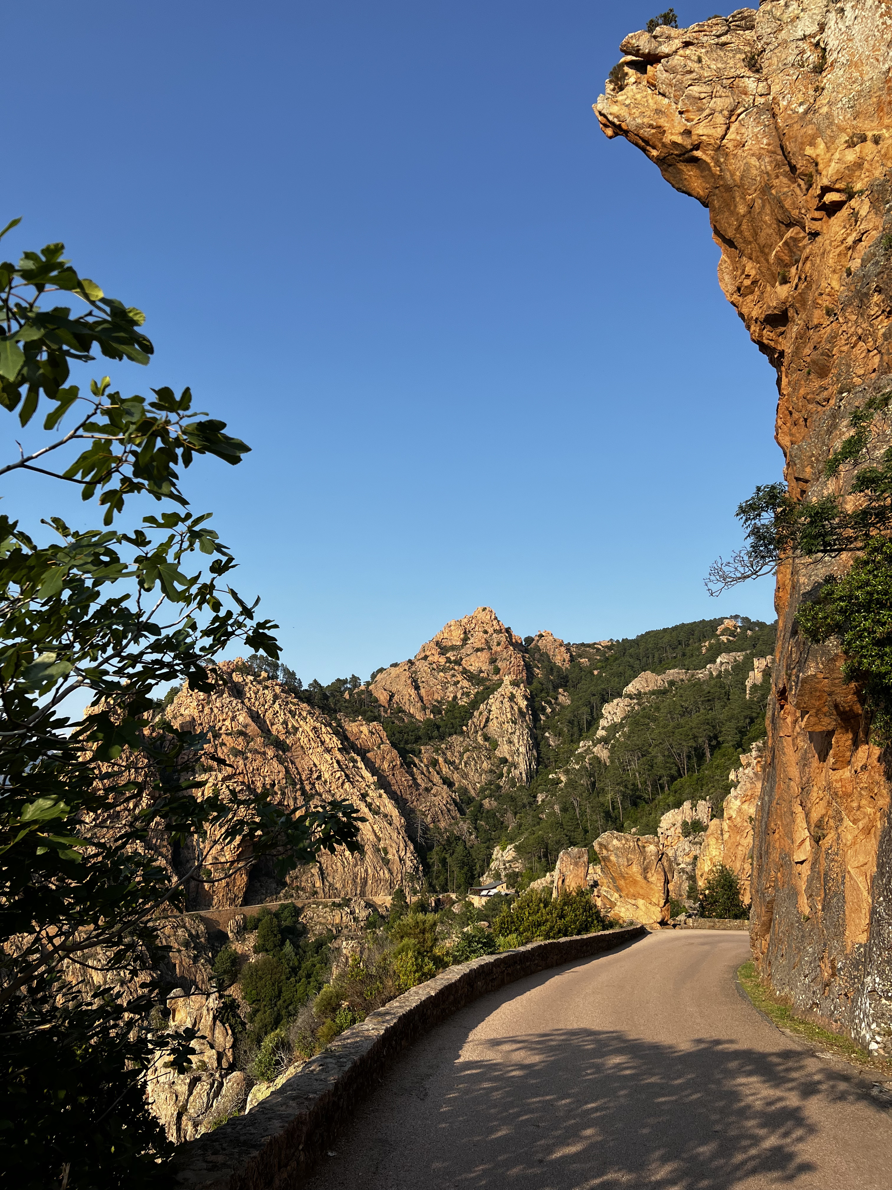 照片 法国(France) 科西嘉岛(Corsica) 皮亚纳峡湾(Calanques de Piana) 2023-06 13