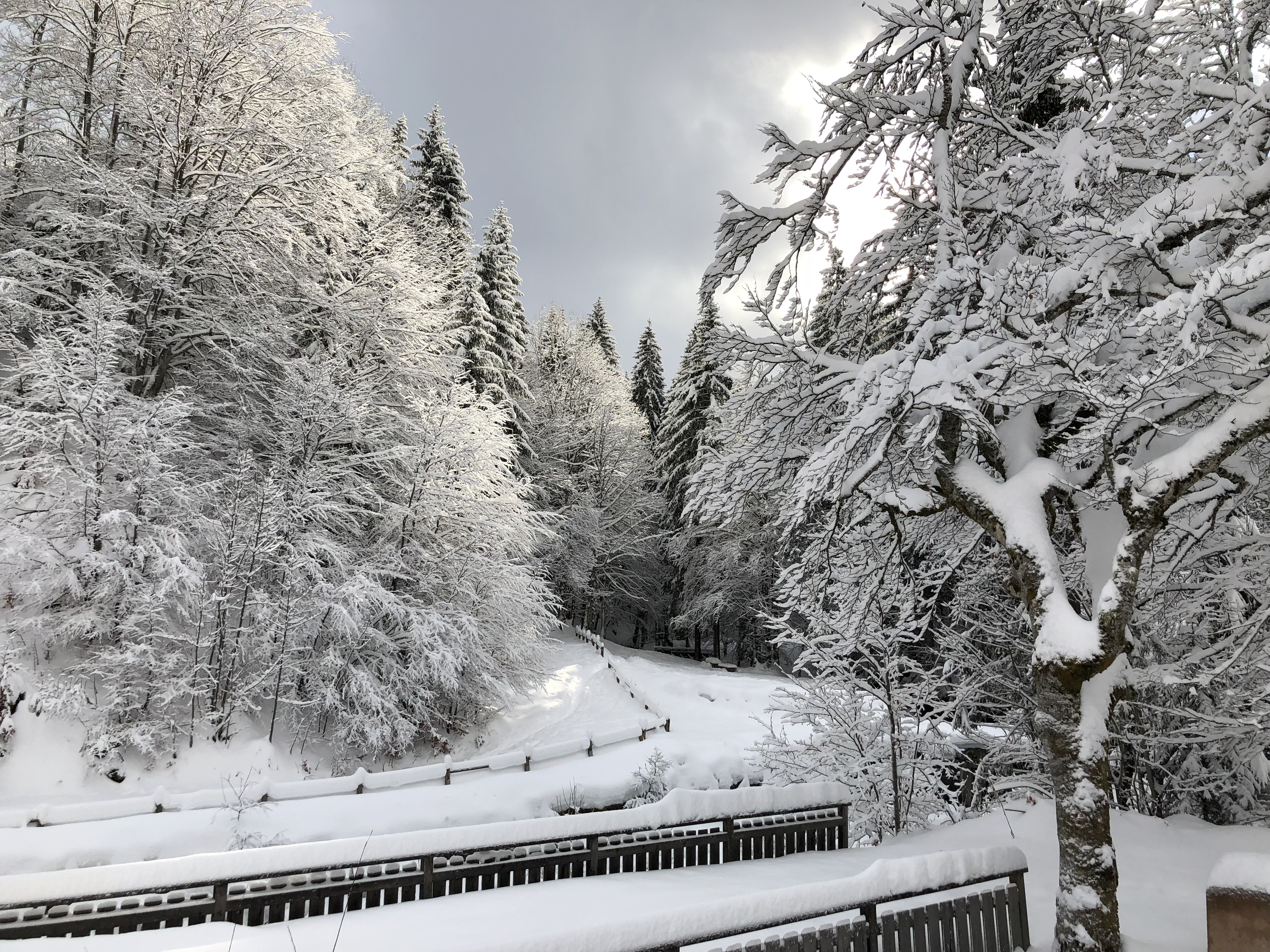 照片 法国(France) 拉克吕萨(La Clusaz) 2017-12 194
