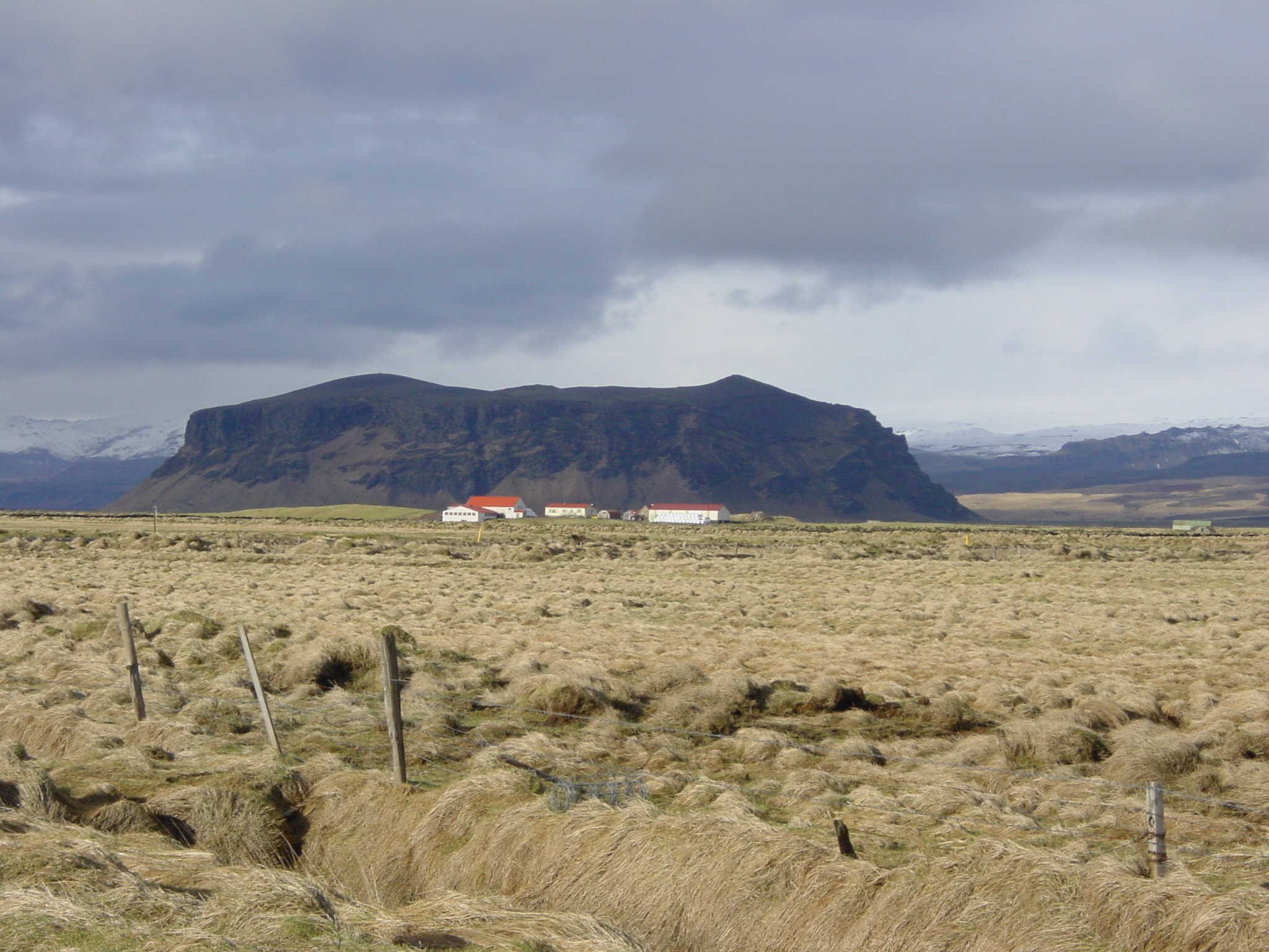 照片 冰岛(Iceland) 迪霍拉伊(Dyrholaey) 2003-03 5