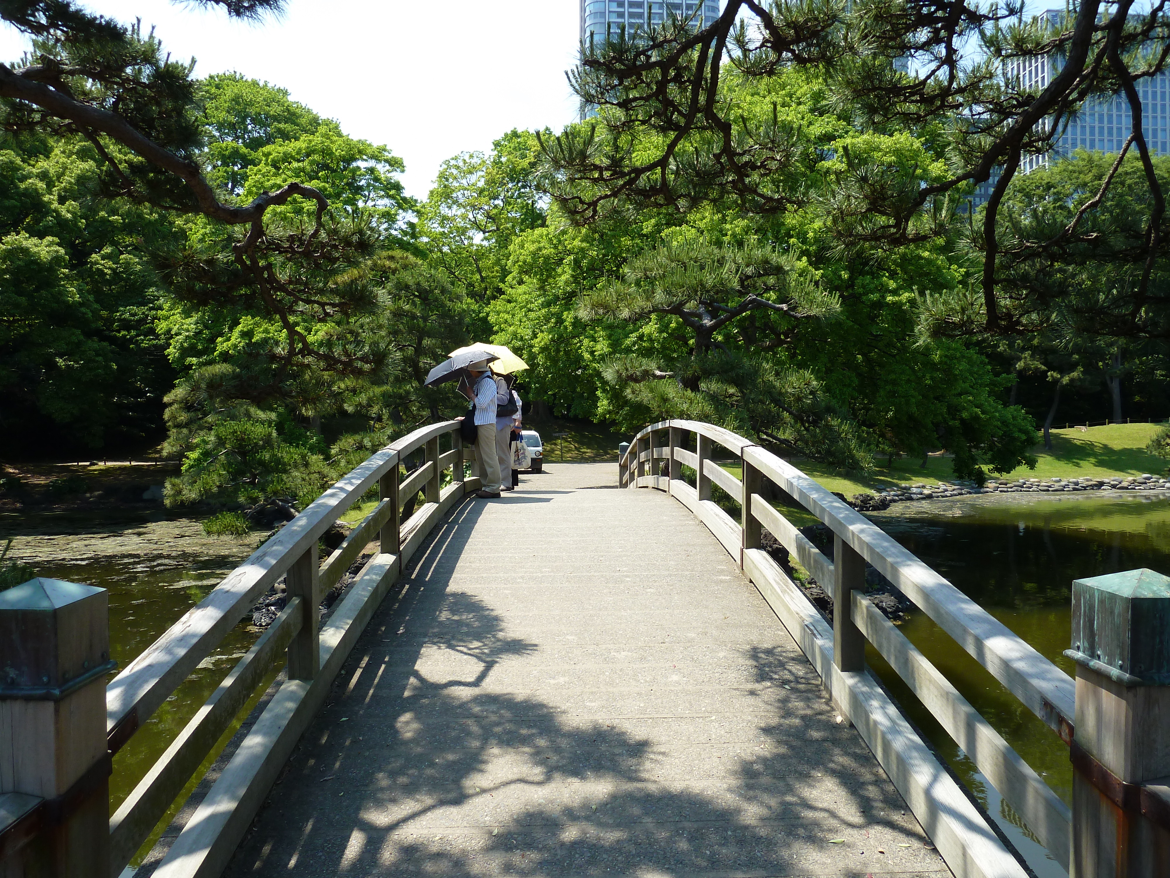 照片 日本(Japan) 东京(Tokyo) 滨离宫恩赐庭园(Hama rikyu Gardens) 2010-06 79