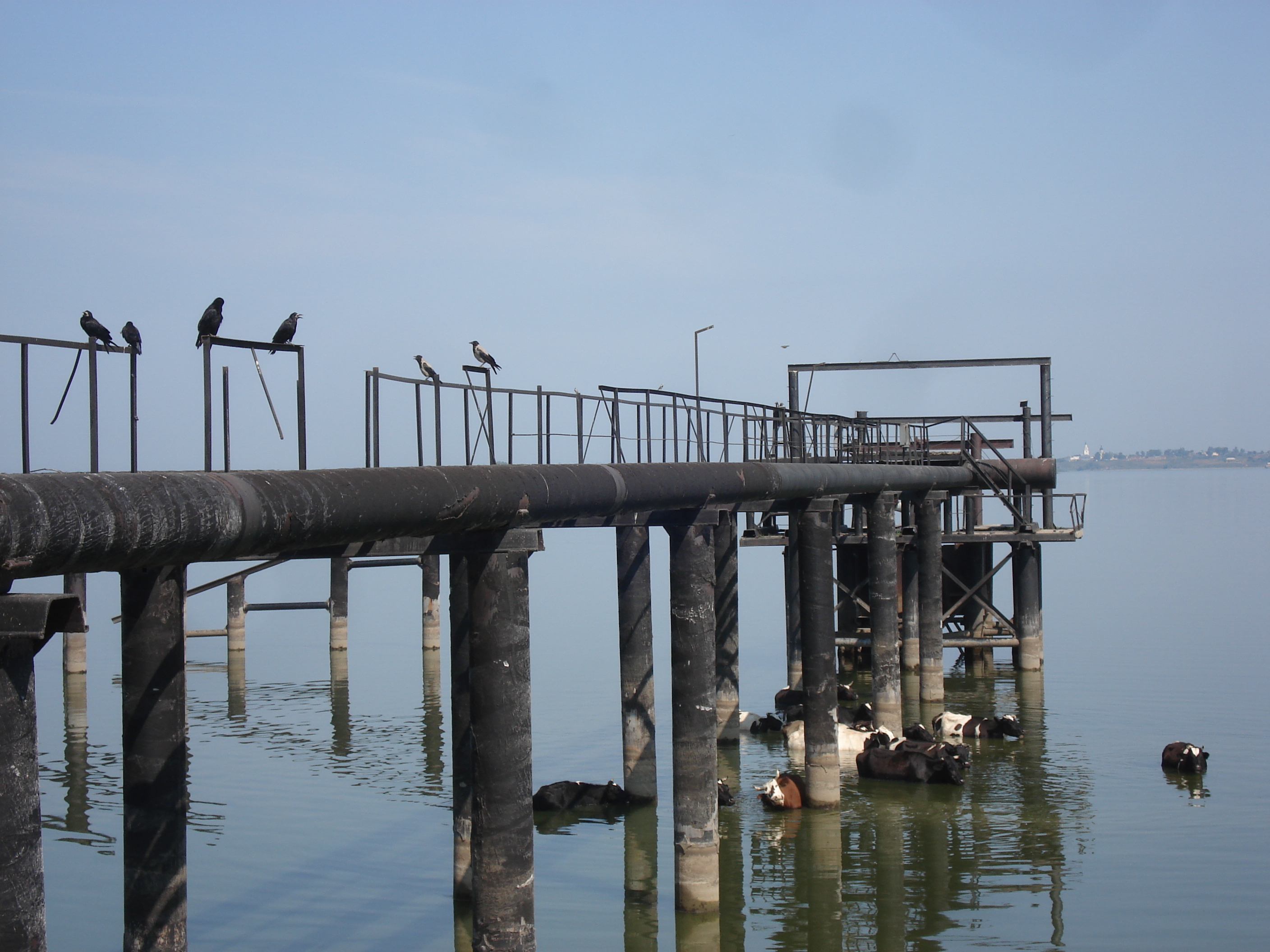 照片 俄罗斯(Russia) 喀山至下诺夫哥罗德(From Kazan to Nizhniy Novgorod) 2006-07 12