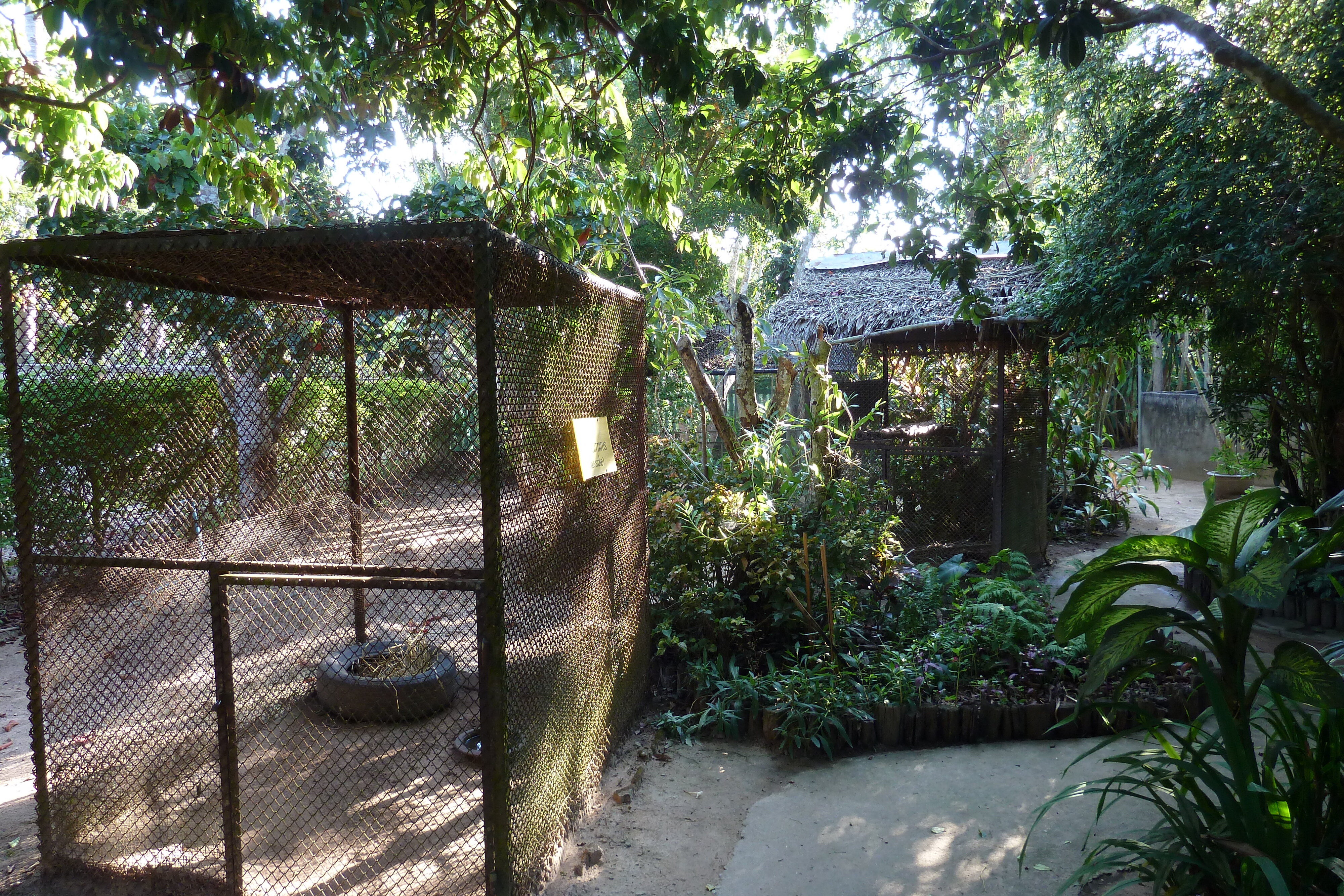照片 泰国(Thailand) 清迈(Chiang Mai) 湄沙蛇园(Mae Sa Snake Farm) 2010-12 54