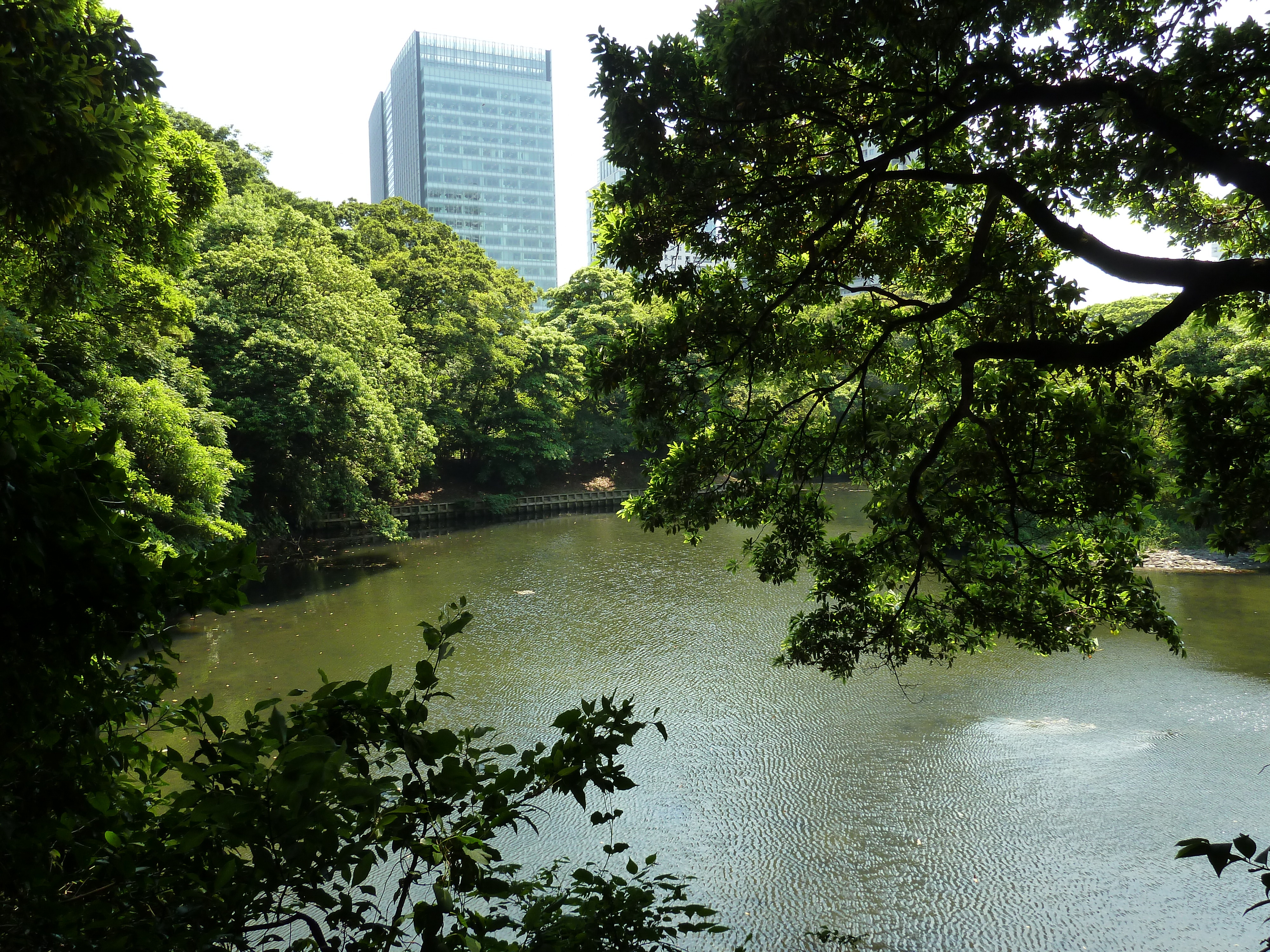 照片 日本(Japan) 东京(Tokyo) 滨离宫恩赐庭园(Hama rikyu Gardens) 2010-06 72