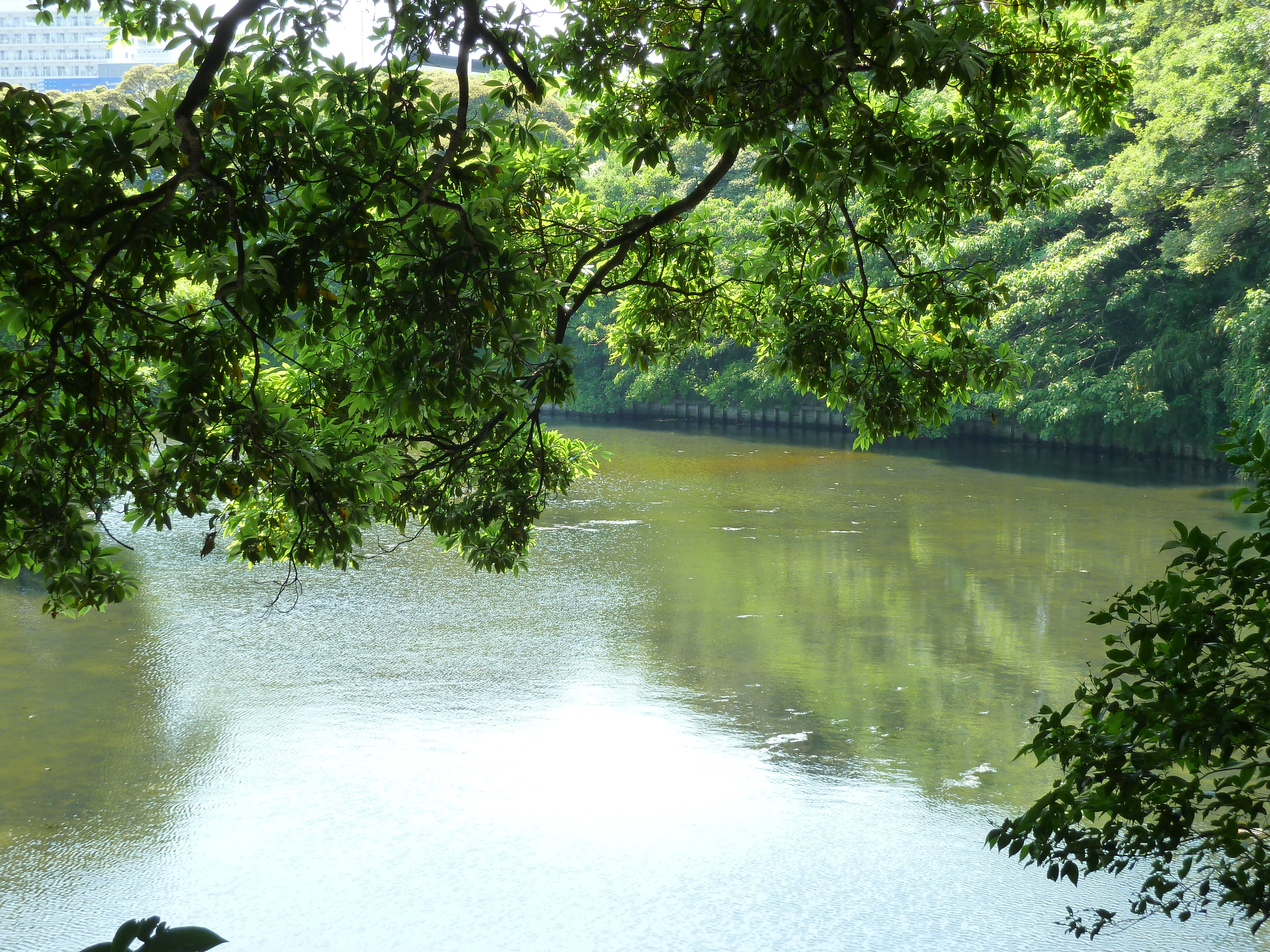 照片 日本(Japan) 东京(Tokyo) 滨离宫恩赐庭园(Hama rikyu Gardens) 2010-06 63