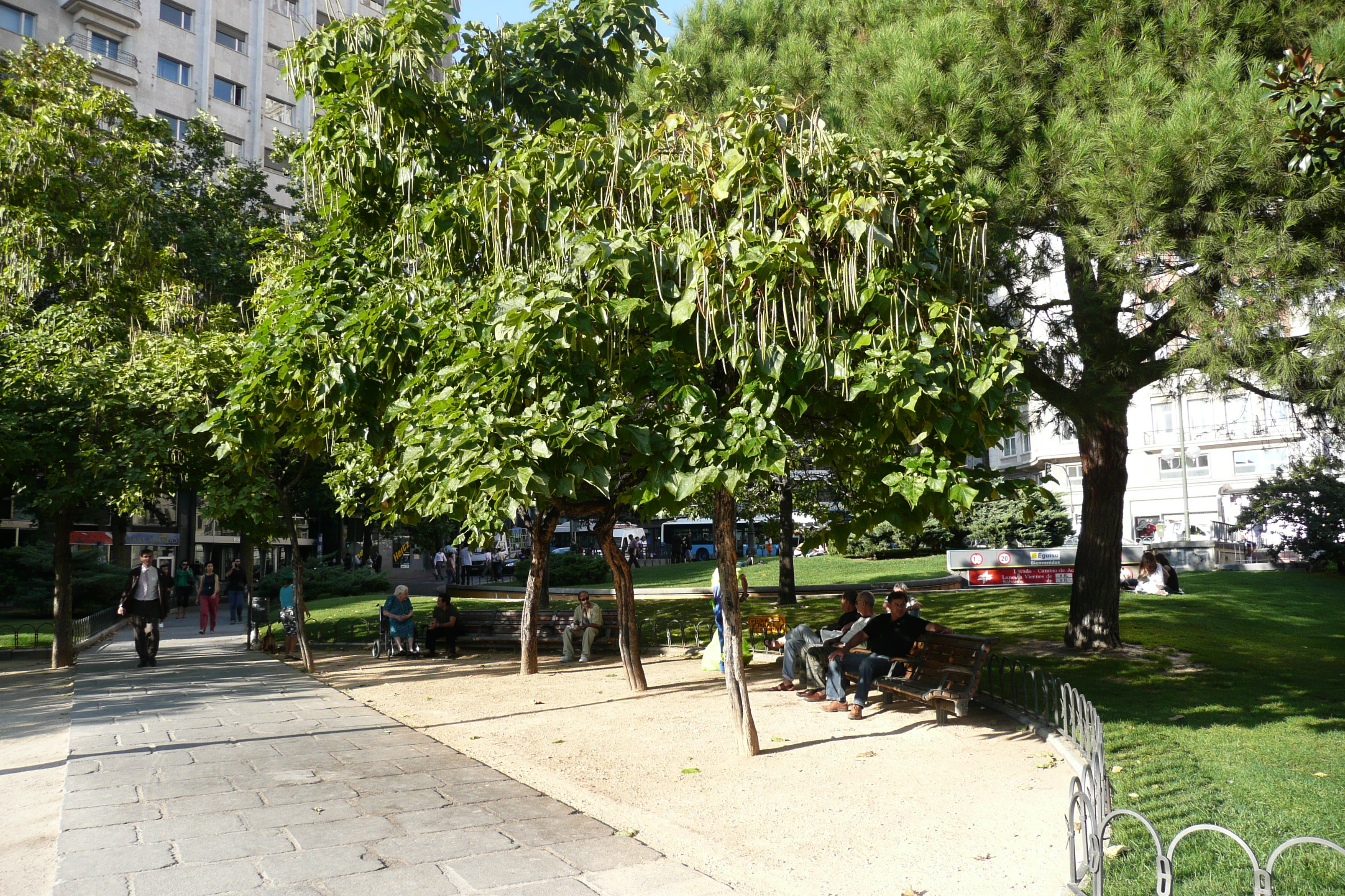照片 西班牙(Spain) 马德里(Madrid) 西班牙广场(Plaza de Espana) 2007-09 47