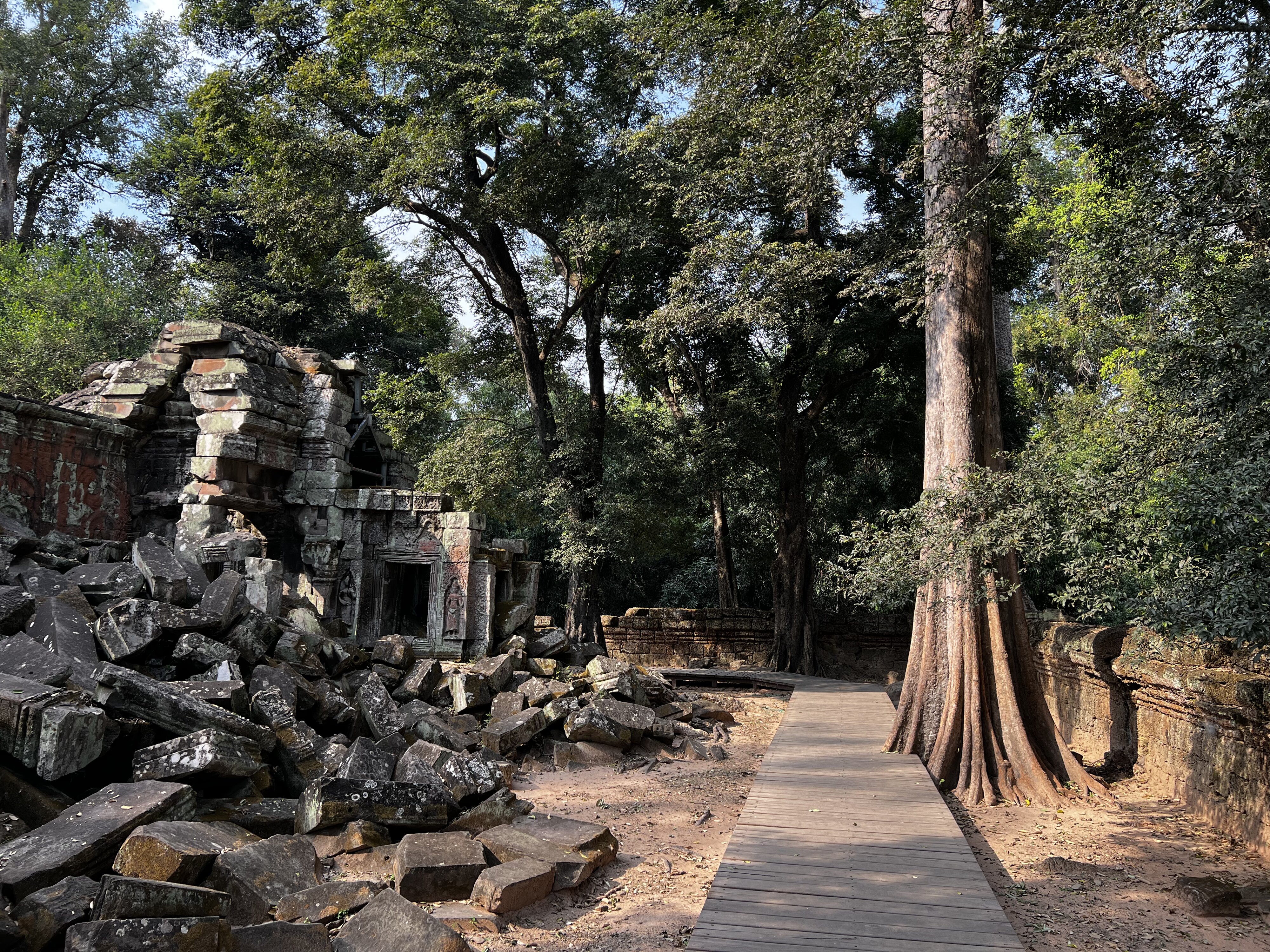照片 柬埔寨(Cambodia) 暹粒(Siem Reap) 塔布茏寺(Ta Prohm) 2023-01 35