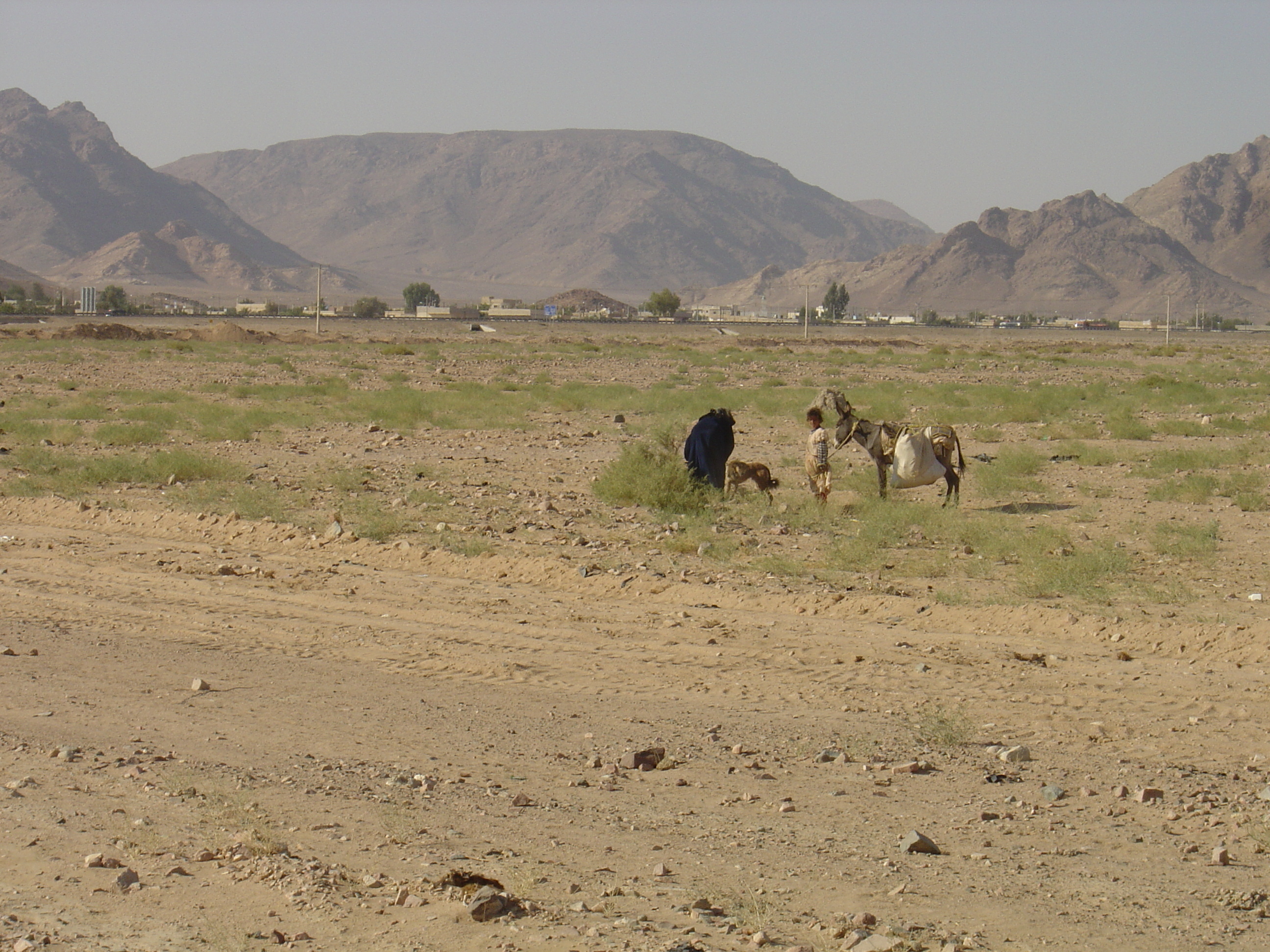 照片 约旦(Jordan) 瓦迪拉姆沙漠(Wadi Rum Desert) 2004-10 85