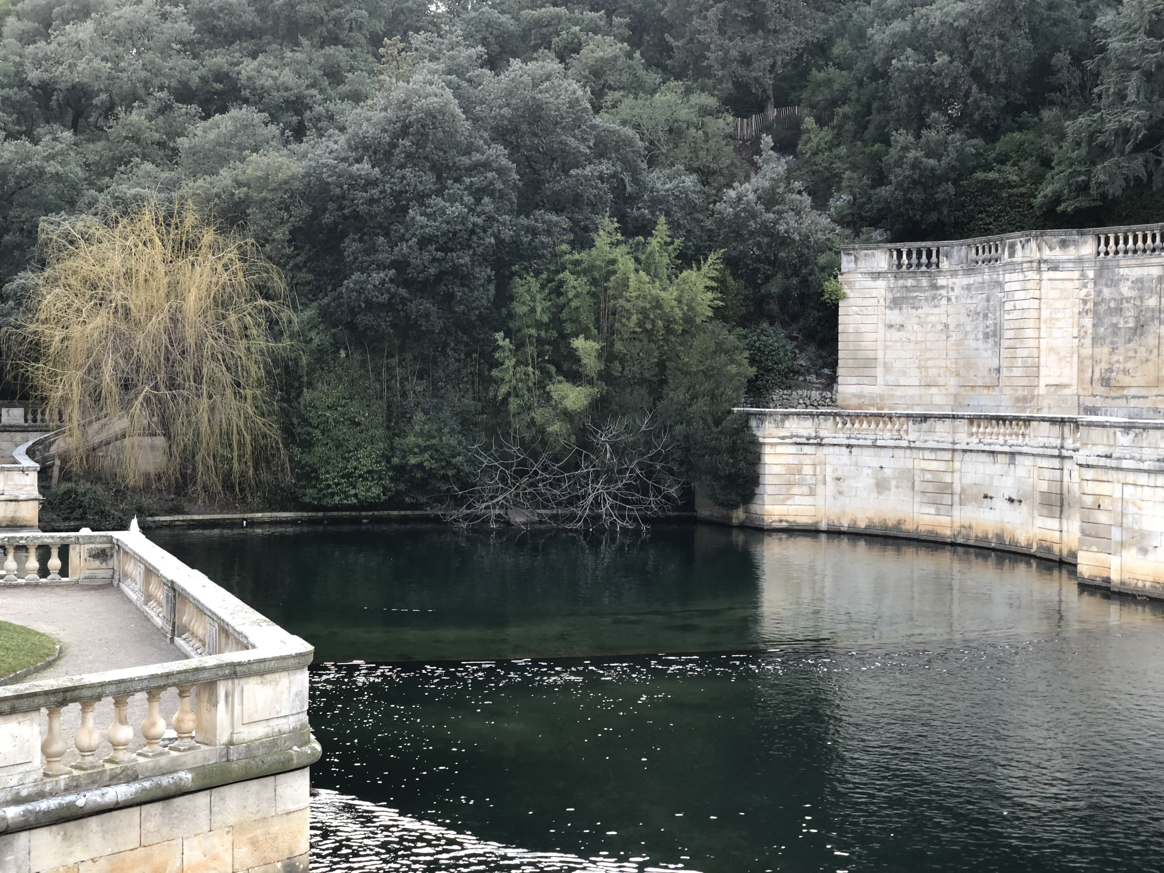 照片 法国(France) 尼姆(Nimes) 2018-02 41