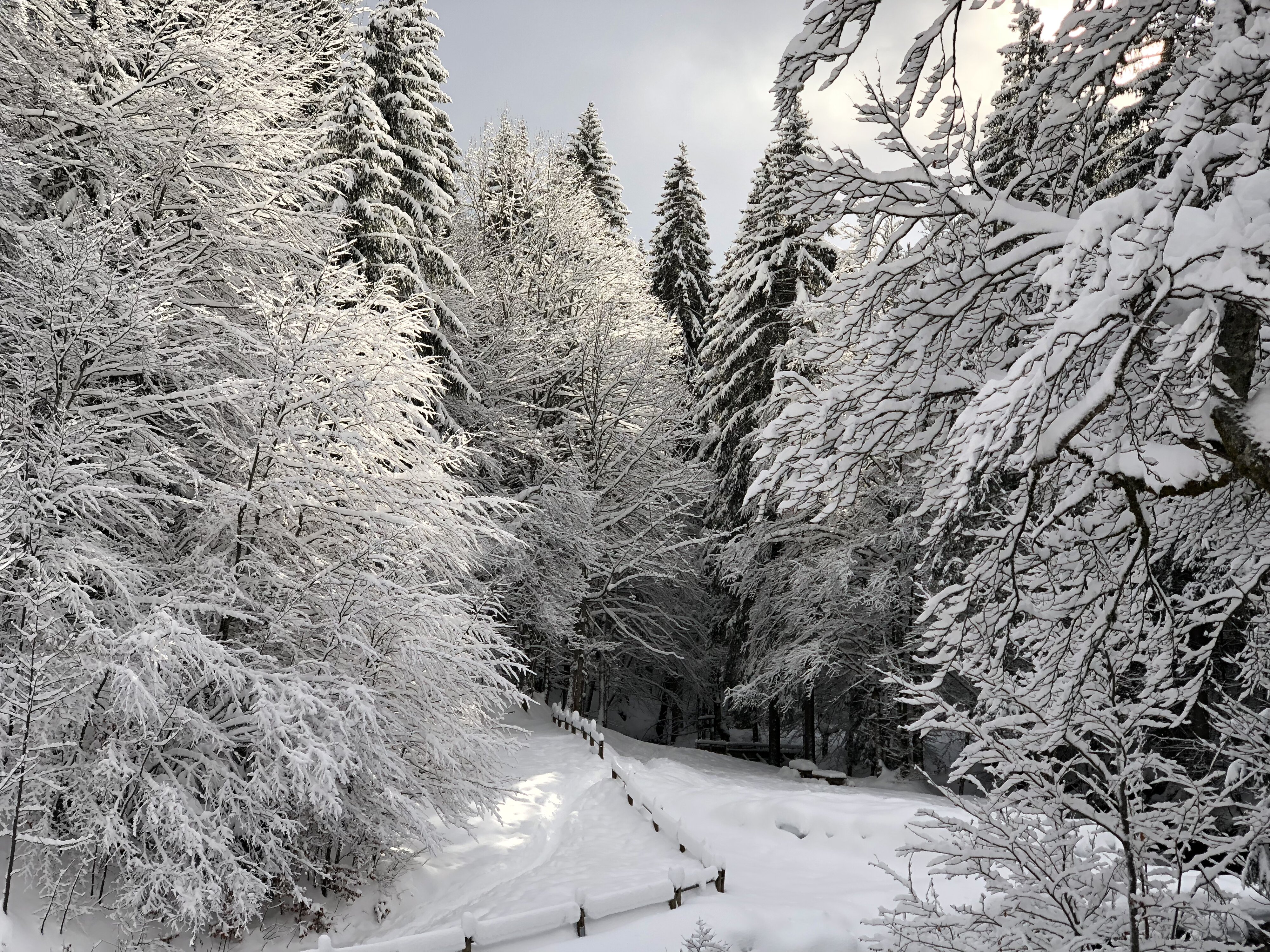 照片 法国(France) 拉克吕萨(La Clusaz) 2017-12 243