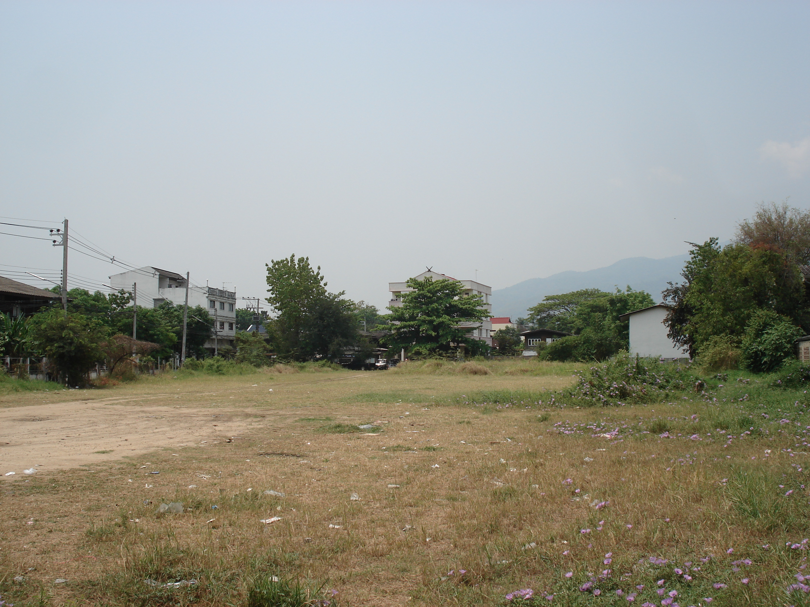 照片 泰国(Thailand) 清迈(Chiang Mai) 护城河内(Inside Canal) 三兰路(Sam Lan Road) 2006-04 25