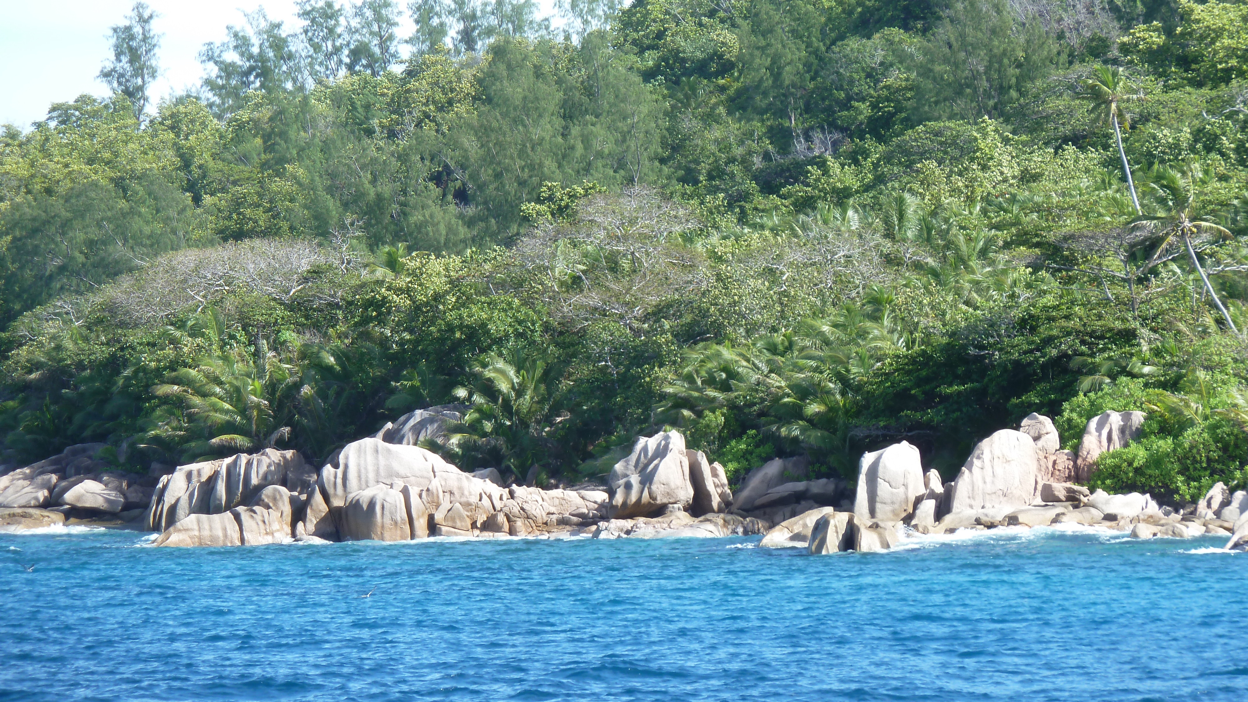 照片 塞舌尔(Seychelles) 大姐妹岛(Grande Soeur) 2011-10 51