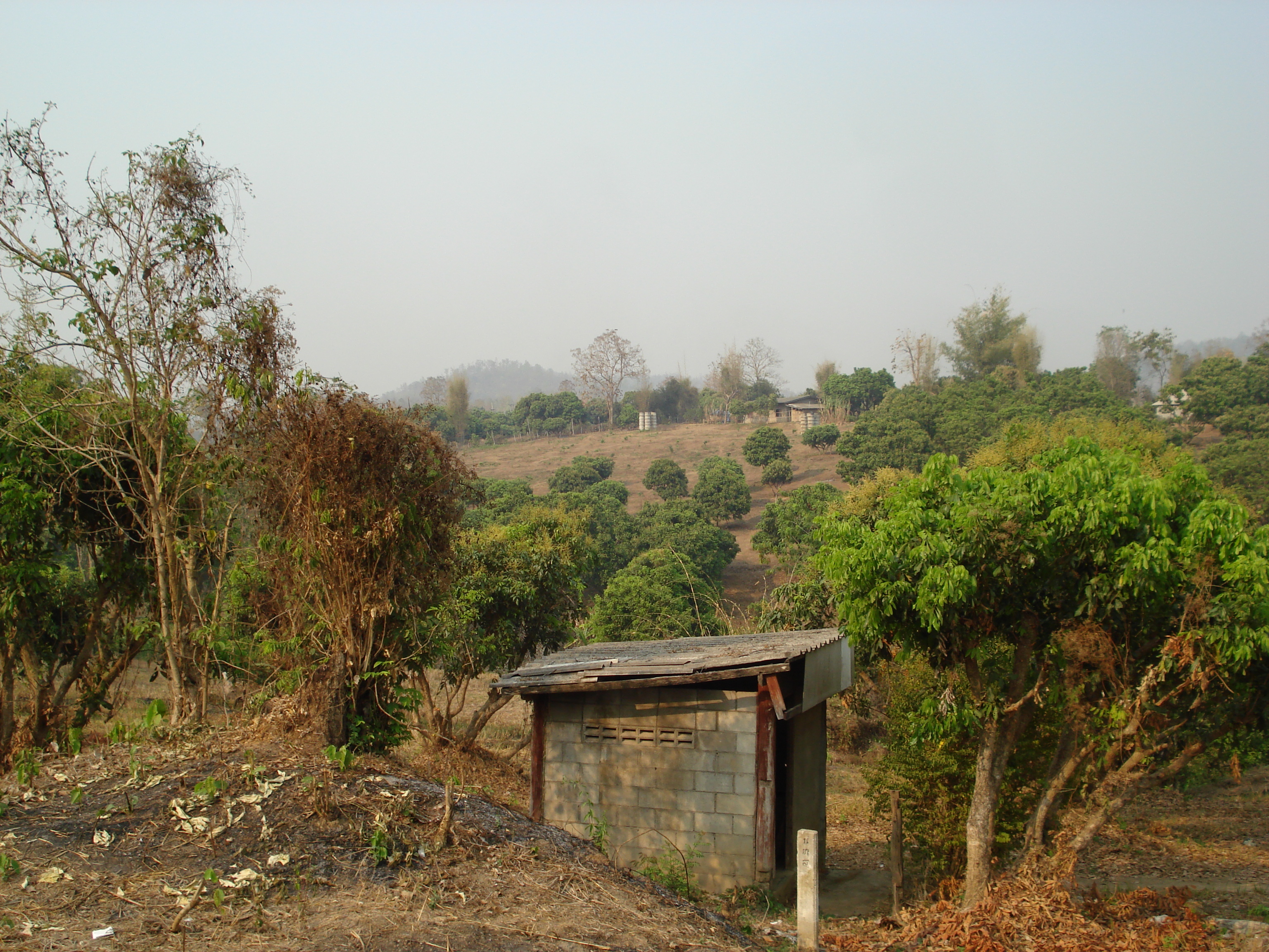 照片 泰国(Thailand) 清迈至拜县公路(Chiang Mai to Pai road) 2007-02 97