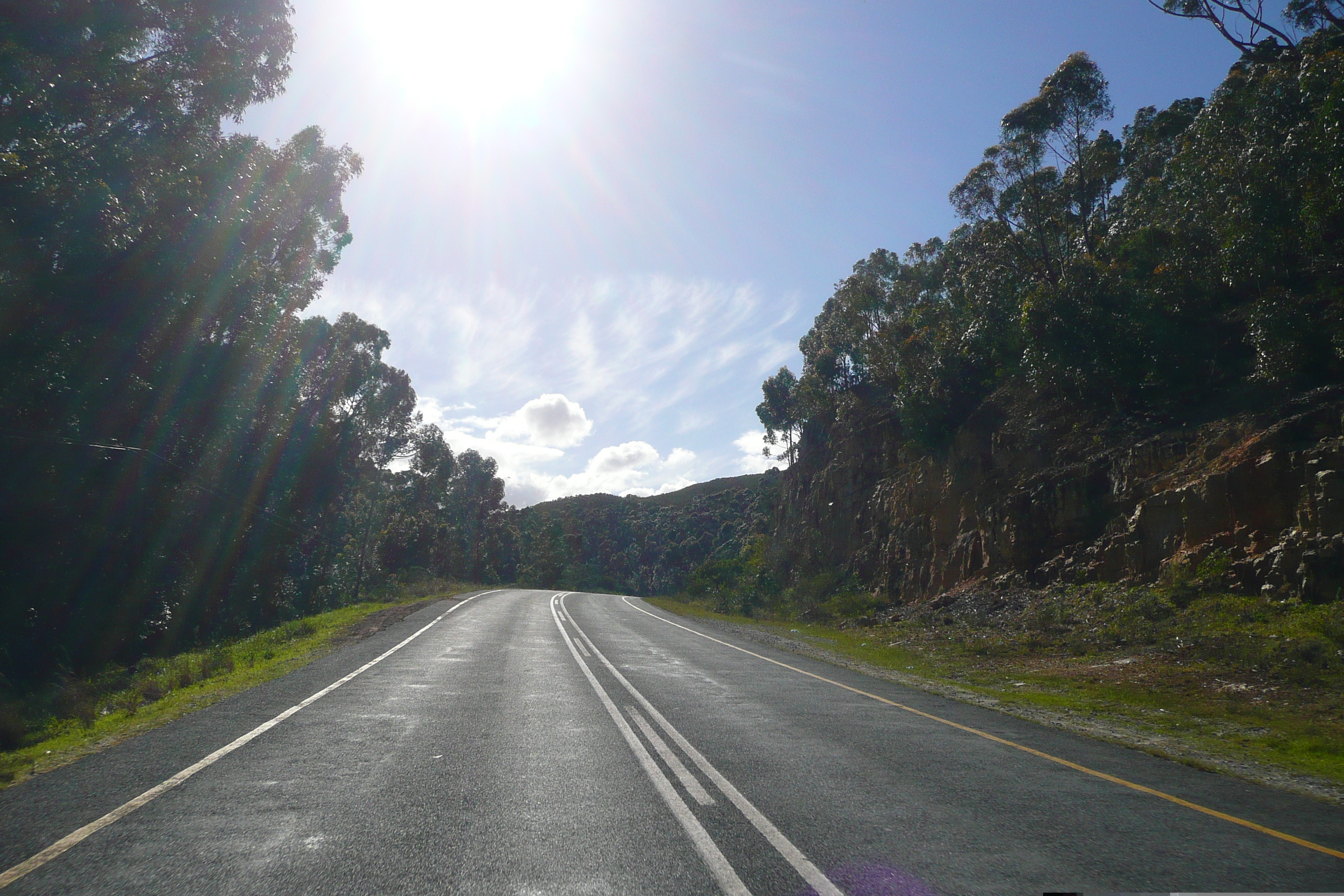 照片 南非(South Africa) 赫曼努斯至克尼斯纳公路(Harmanus to Knysna road) 2008-09 134