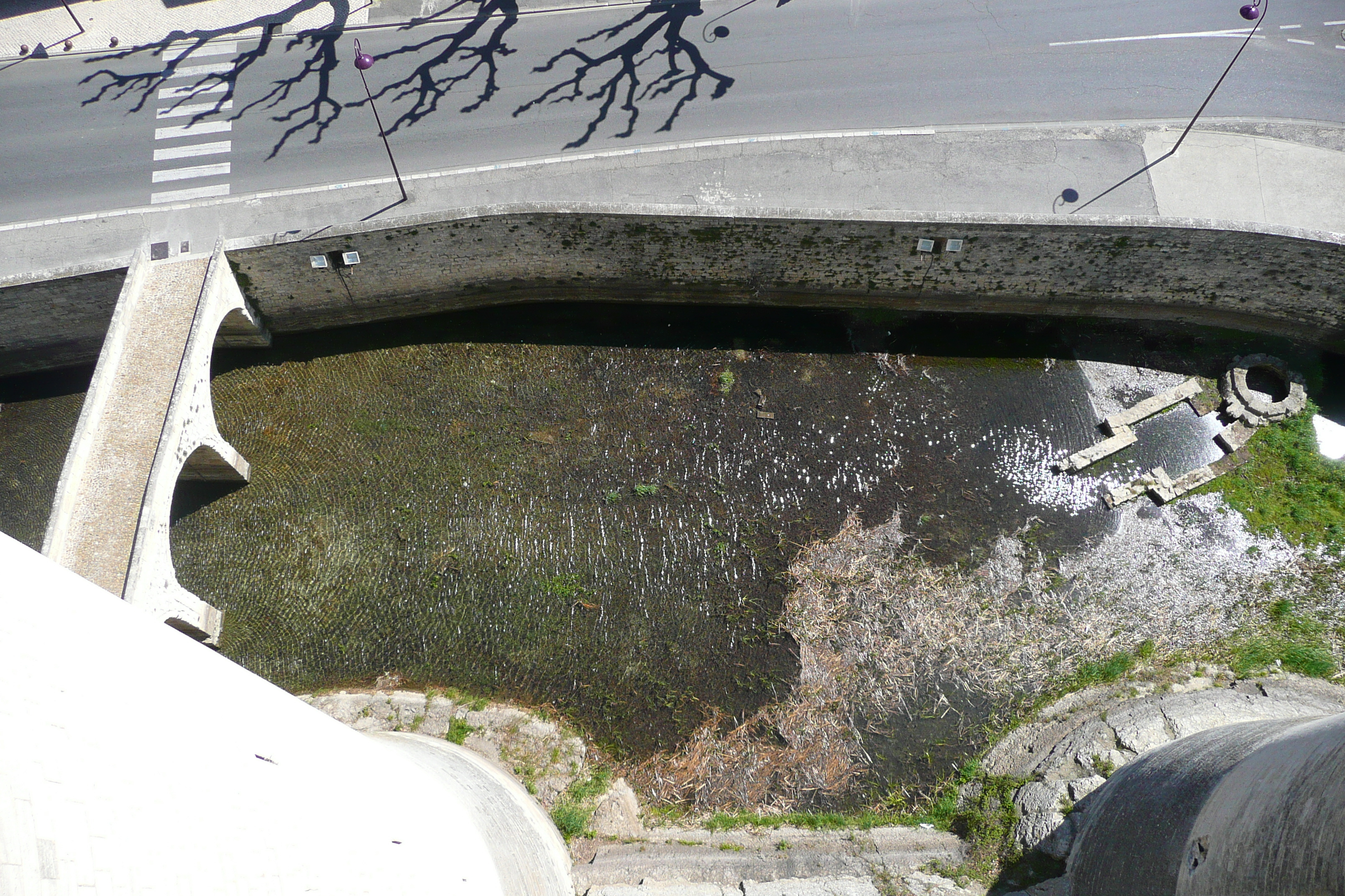 照片 法国(France) 塔拉斯孔(Tarascon) 塔拉斯孔城堡(Tarascon Castle) 2008-04 135