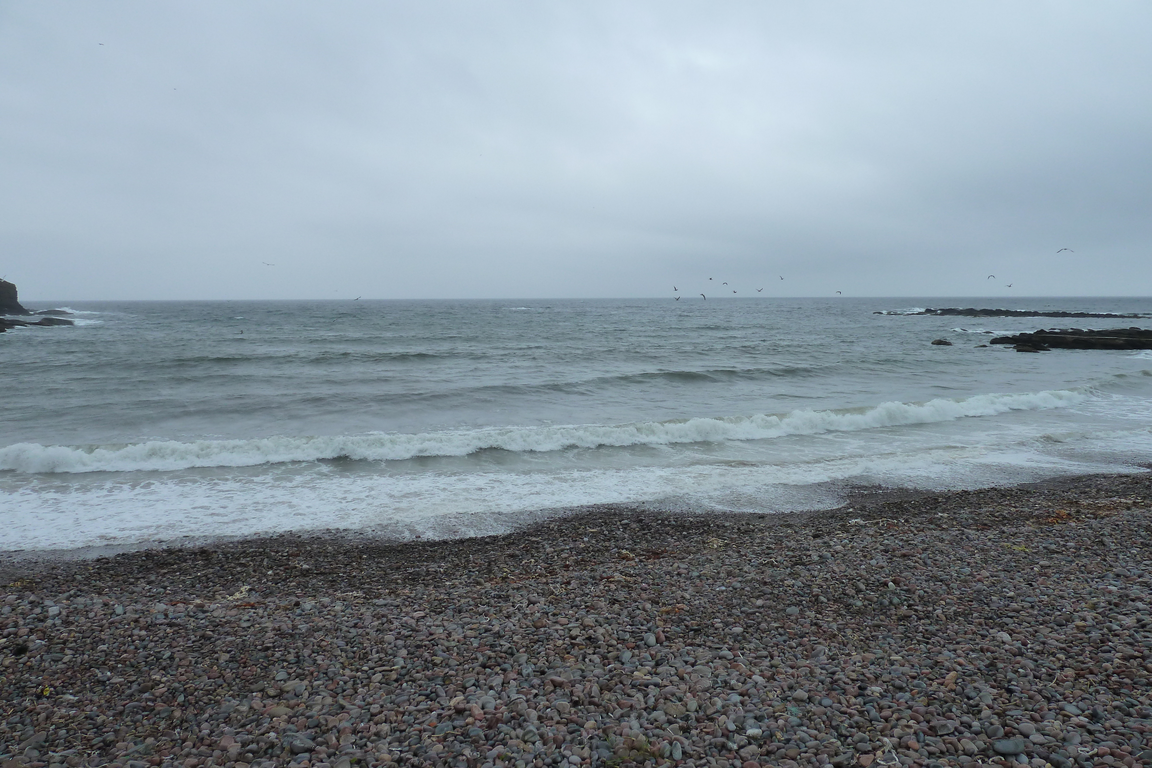 照片 英国(United Kingdom) 苏格兰(Scotland) 马里海岸(Moray Coast) 2011-07 26