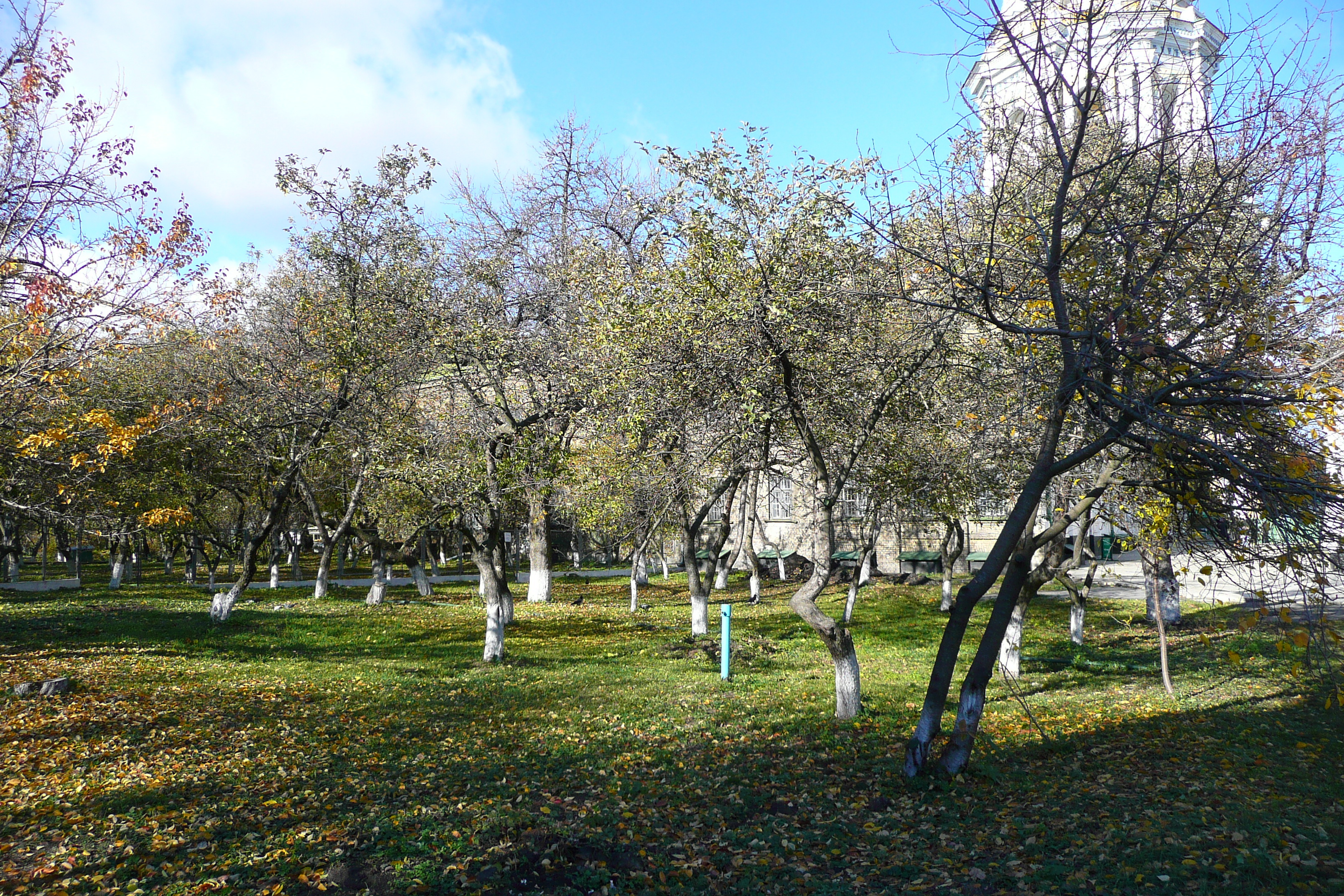 照片 乌克兰(Ukraine) 基辅(Kiev) 基辅洞窟修道院(Pechersk Lavra) 2007-11 74