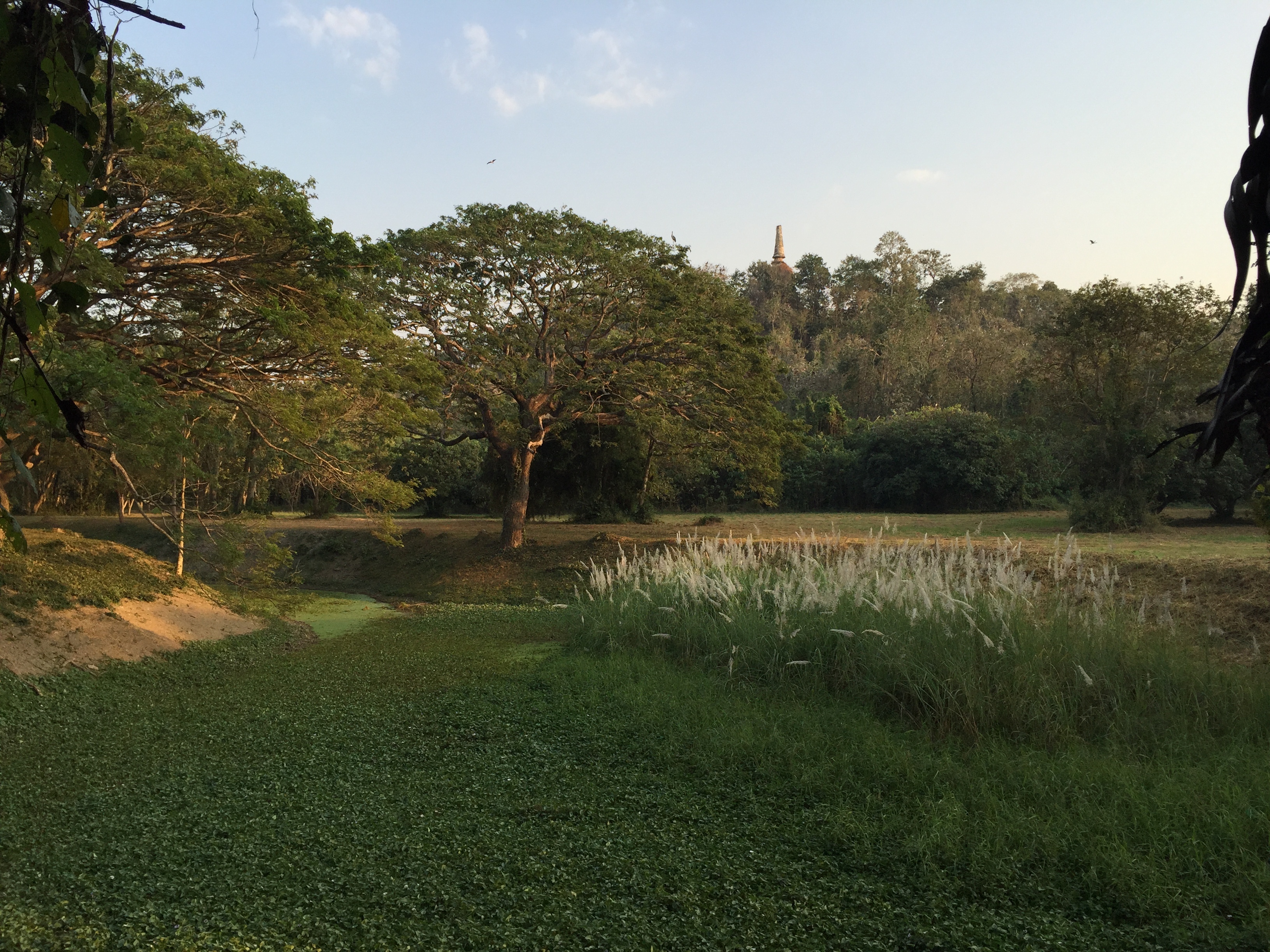 照片 泰国(Thailand) 西沙差那莱历史公园(Si satchanalai historical park) 2014-12 54