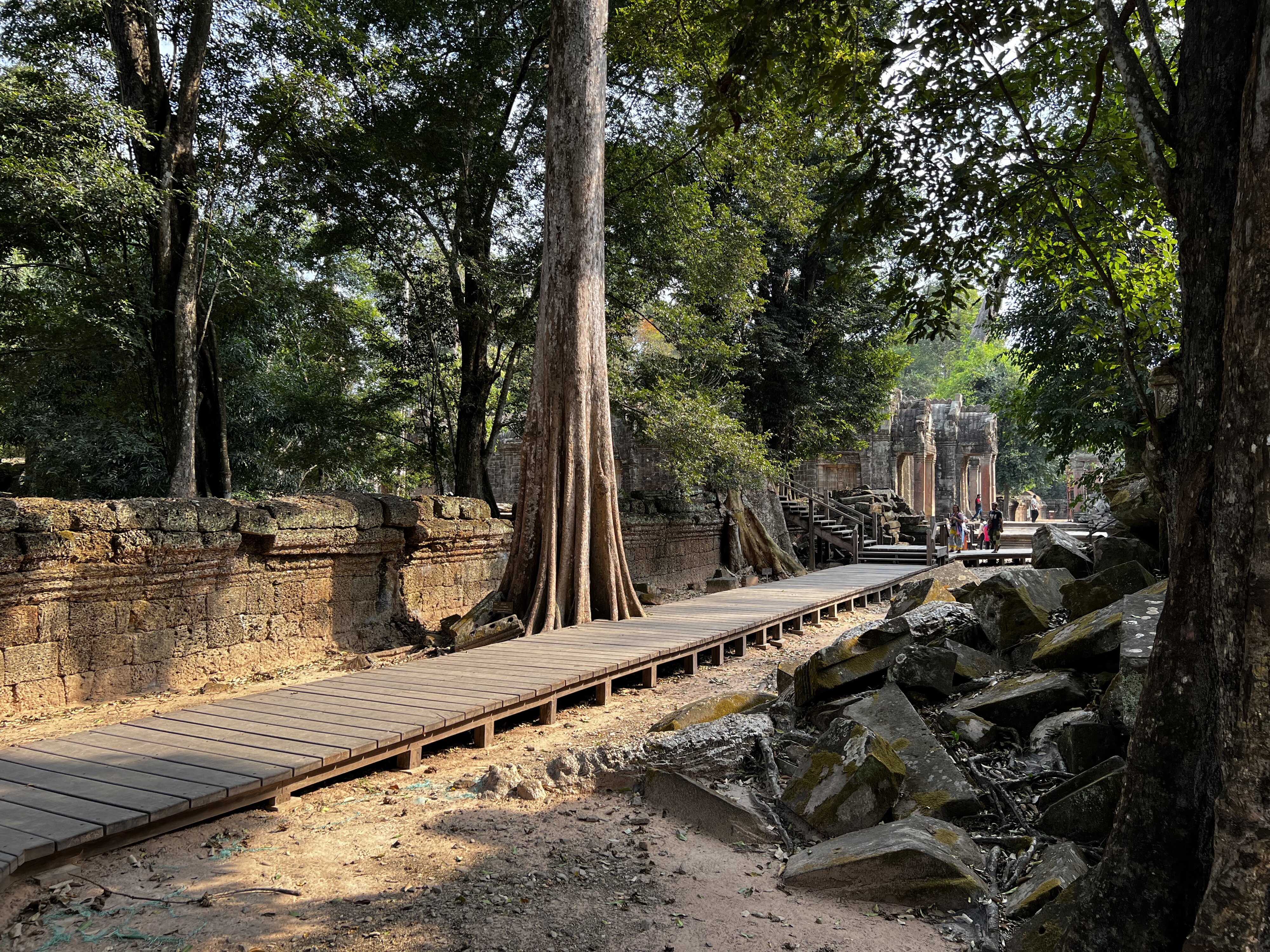 照片 柬埔寨(Cambodia) 暹粒(Siem Reap) 塔布茏寺(Ta Prohm) 2023-01 148