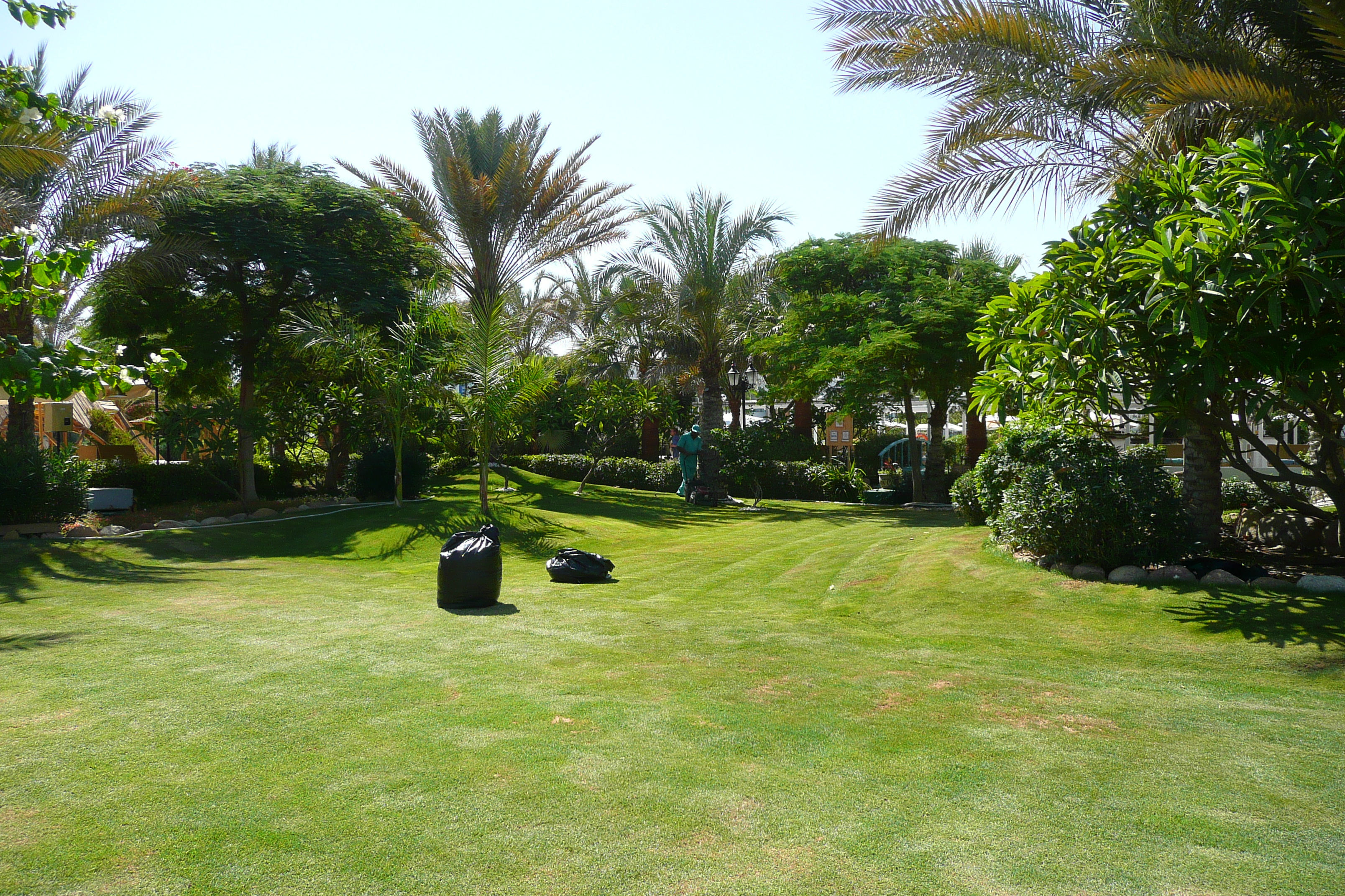 照片 埃及(Egypt) 沙姆沙伊赫(Sharm el Sheikh) 2008-06 62
