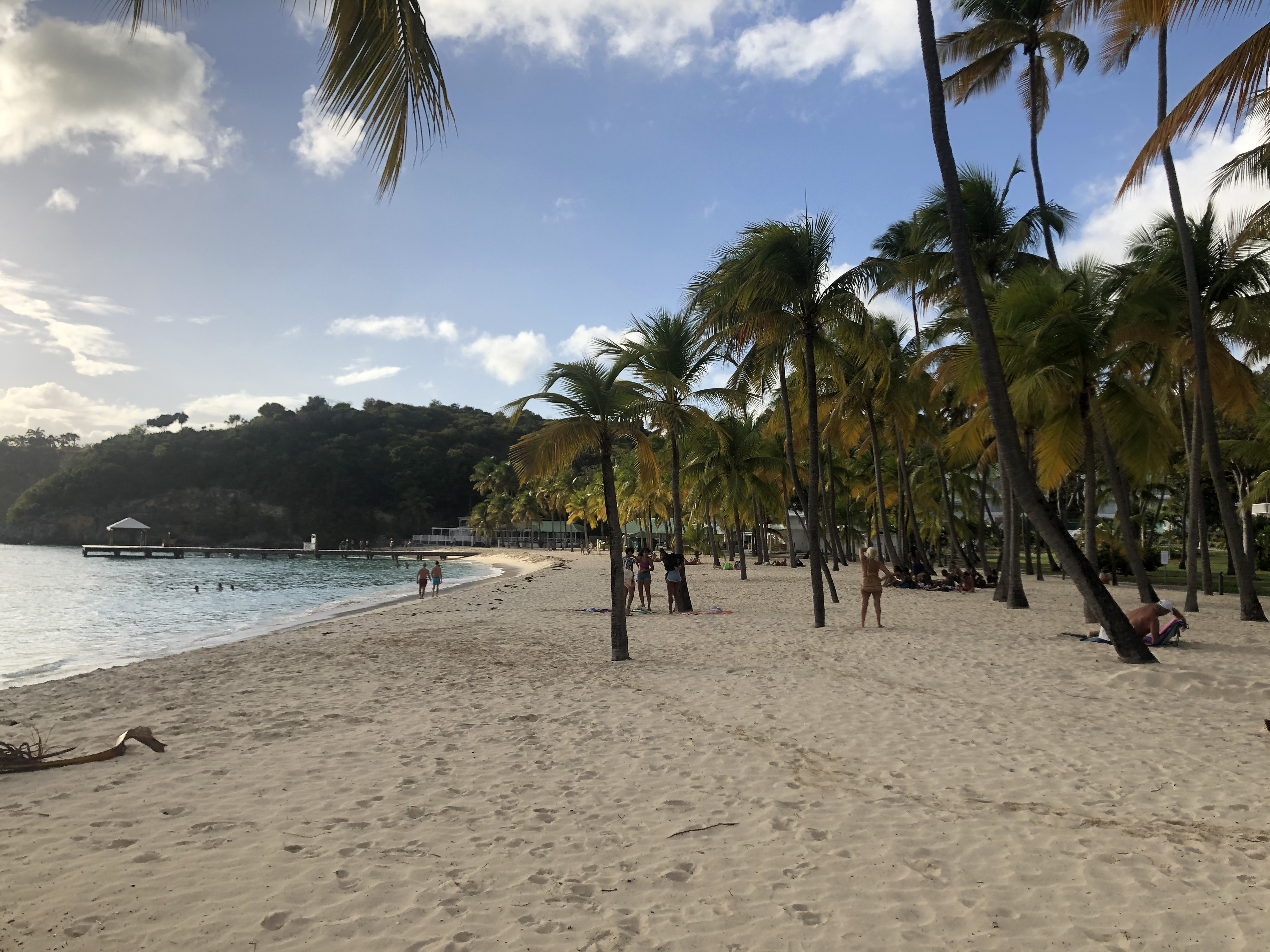 照片 瓜德罗普(Guadeloupe) 卡拉维尔海滩(La Caravelle Beach) 2021-02 97