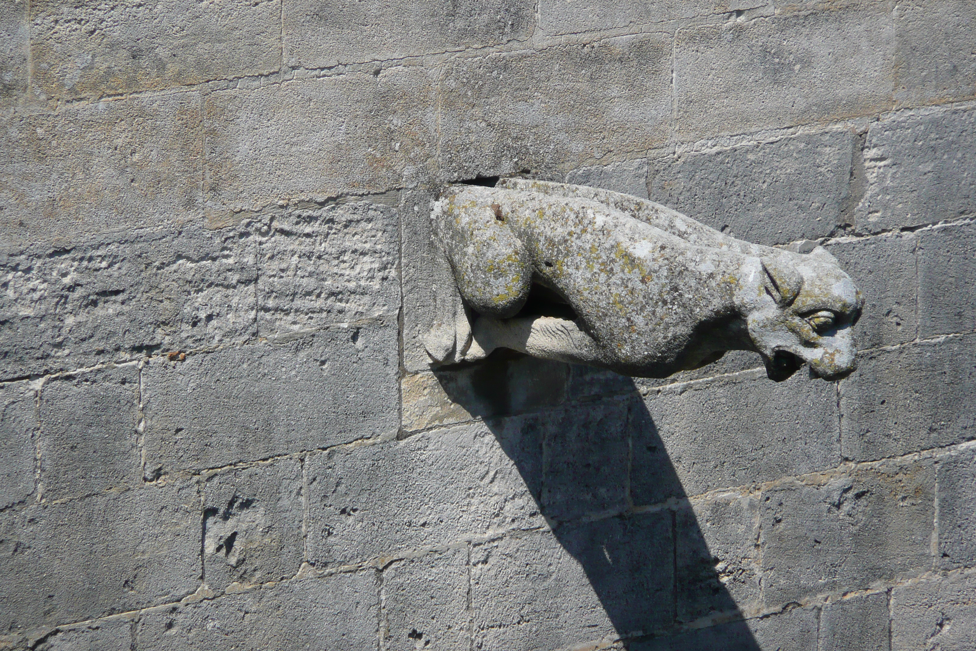 照片 法国(France) 塔拉斯孔(Tarascon) 塔拉斯孔城堡(Tarascon Castle) 2008-04 105
