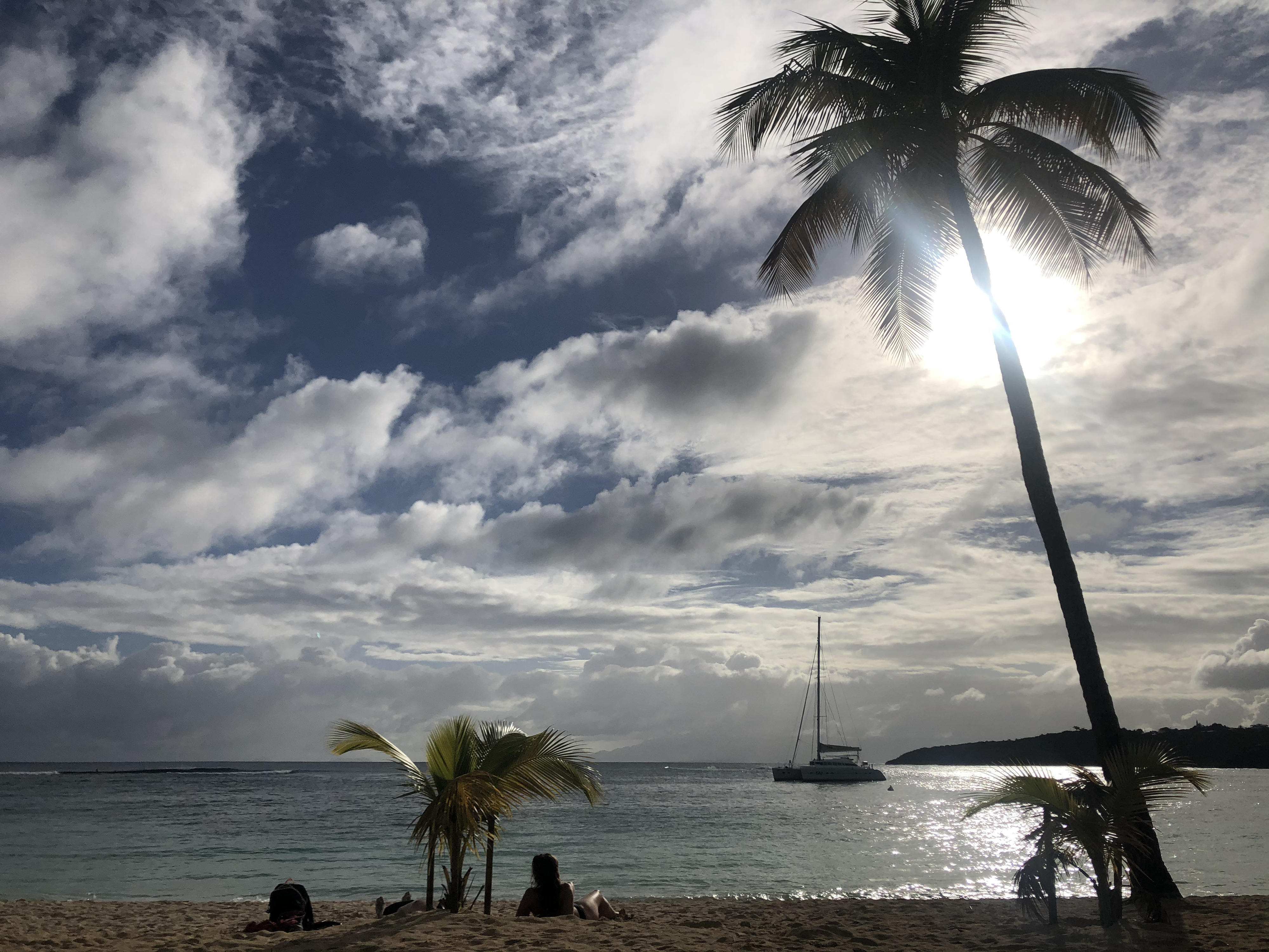 照片 瓜德罗普(Guadeloupe) 卡拉维尔海滩(La Caravelle Beach) 2021-02 44