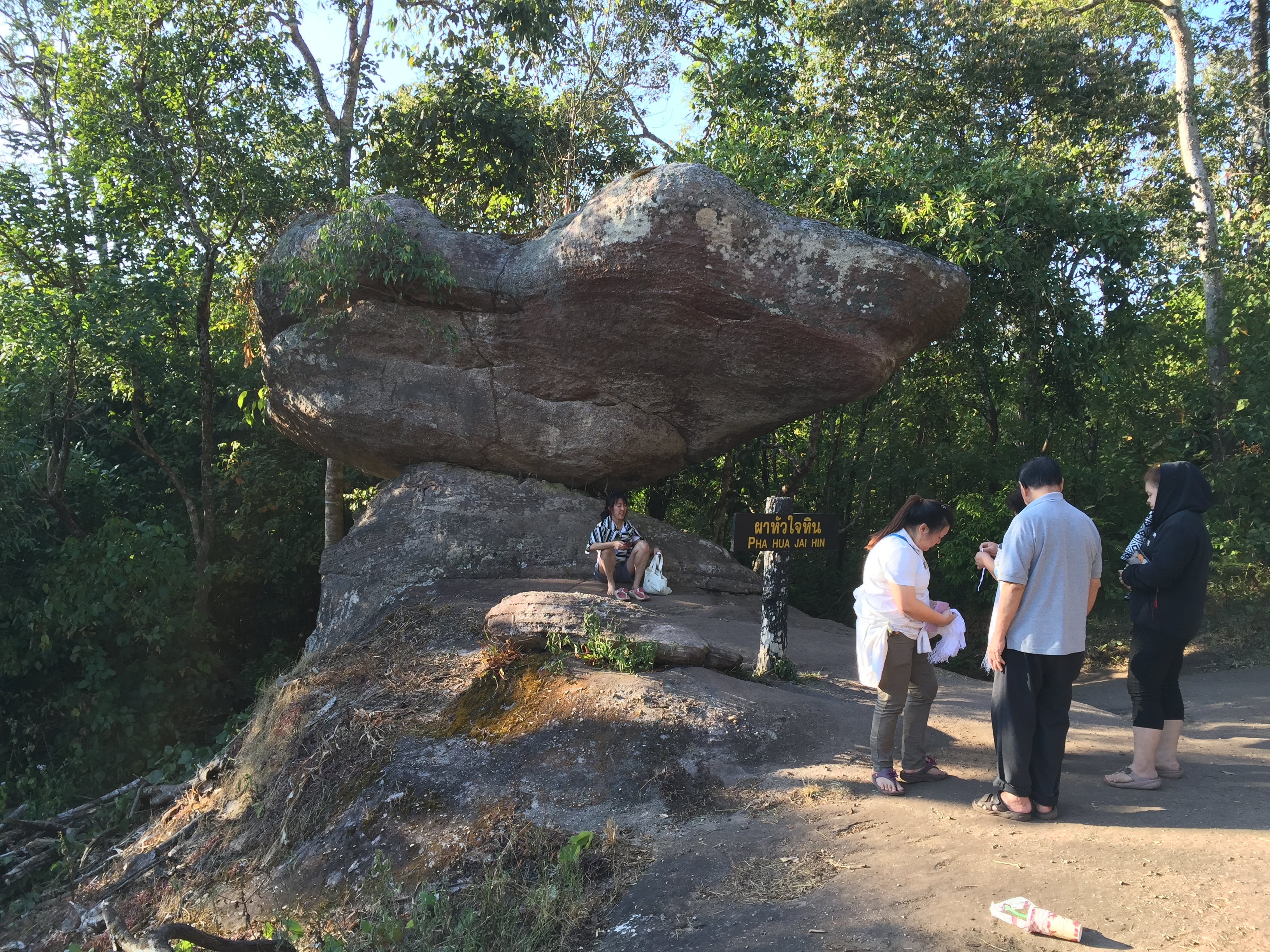 照片 泰国(Thailand) 普欣隆卡国家公园(Phu Hin Rong Kla National Park) 2014-12 168