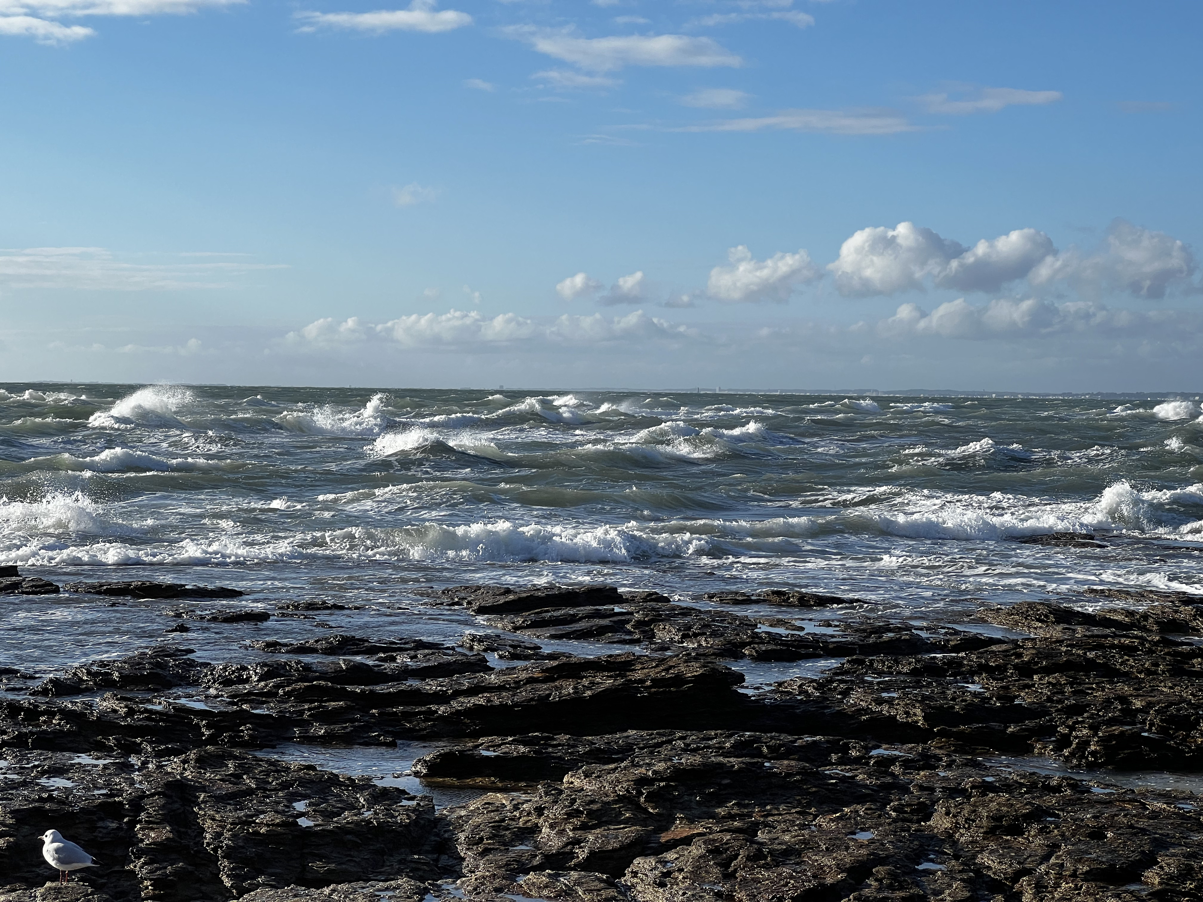 照片 法国(France) 滨海拉普莱讷(La Plaine sur mer) 2022-09 81