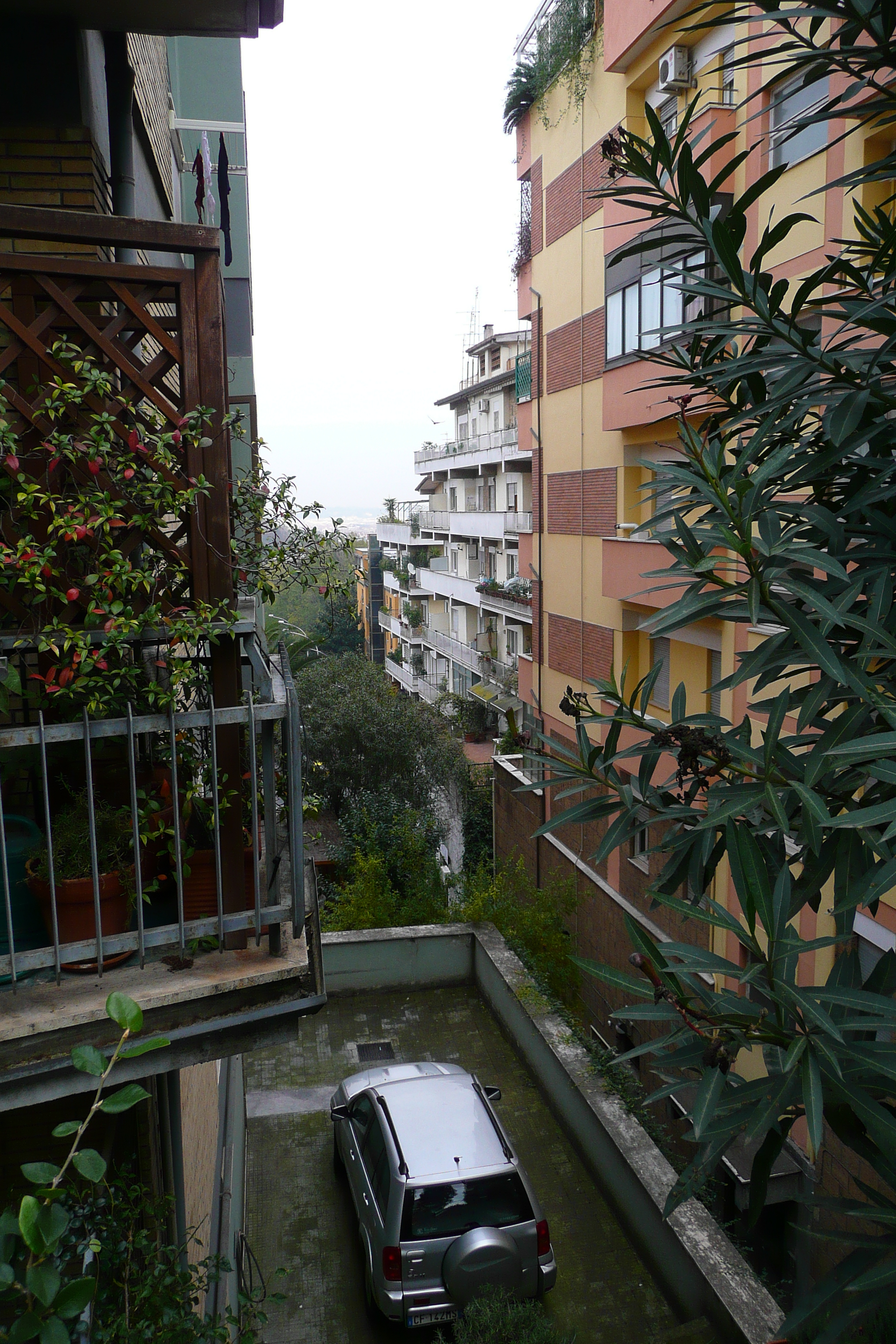 照片 意大利(Italy) 罗马(Rome) 教皇(Pontefice) 2007-11 22