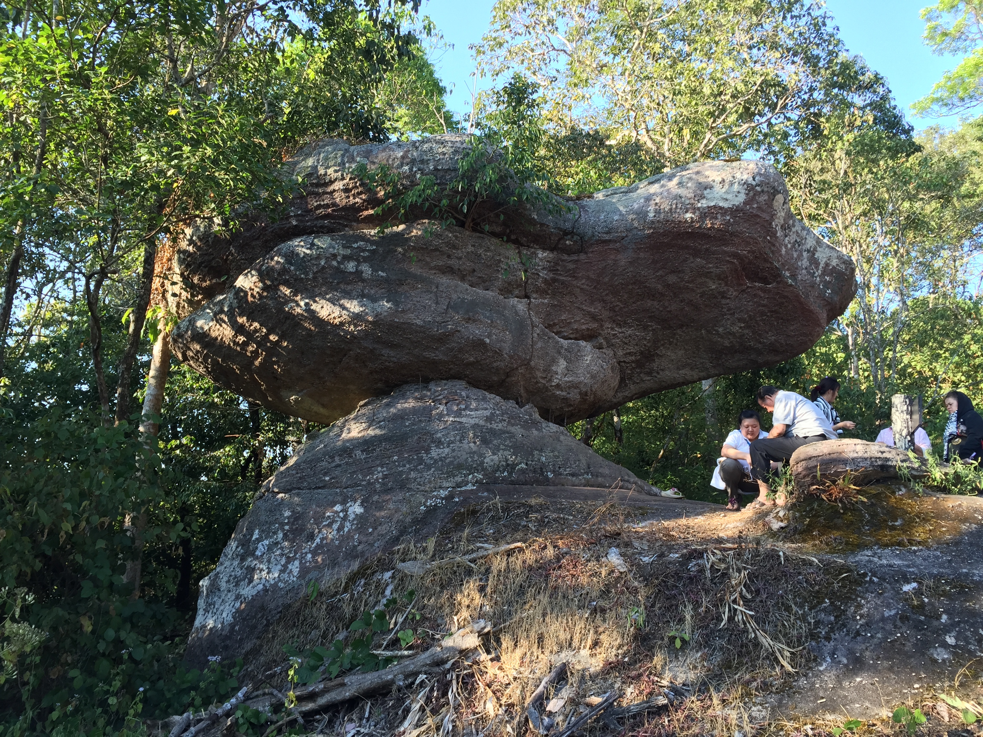 照片 泰国(Thailand) 普欣隆卡国家公园(Phu Hin Rong Kla National Park) 2014-12 128