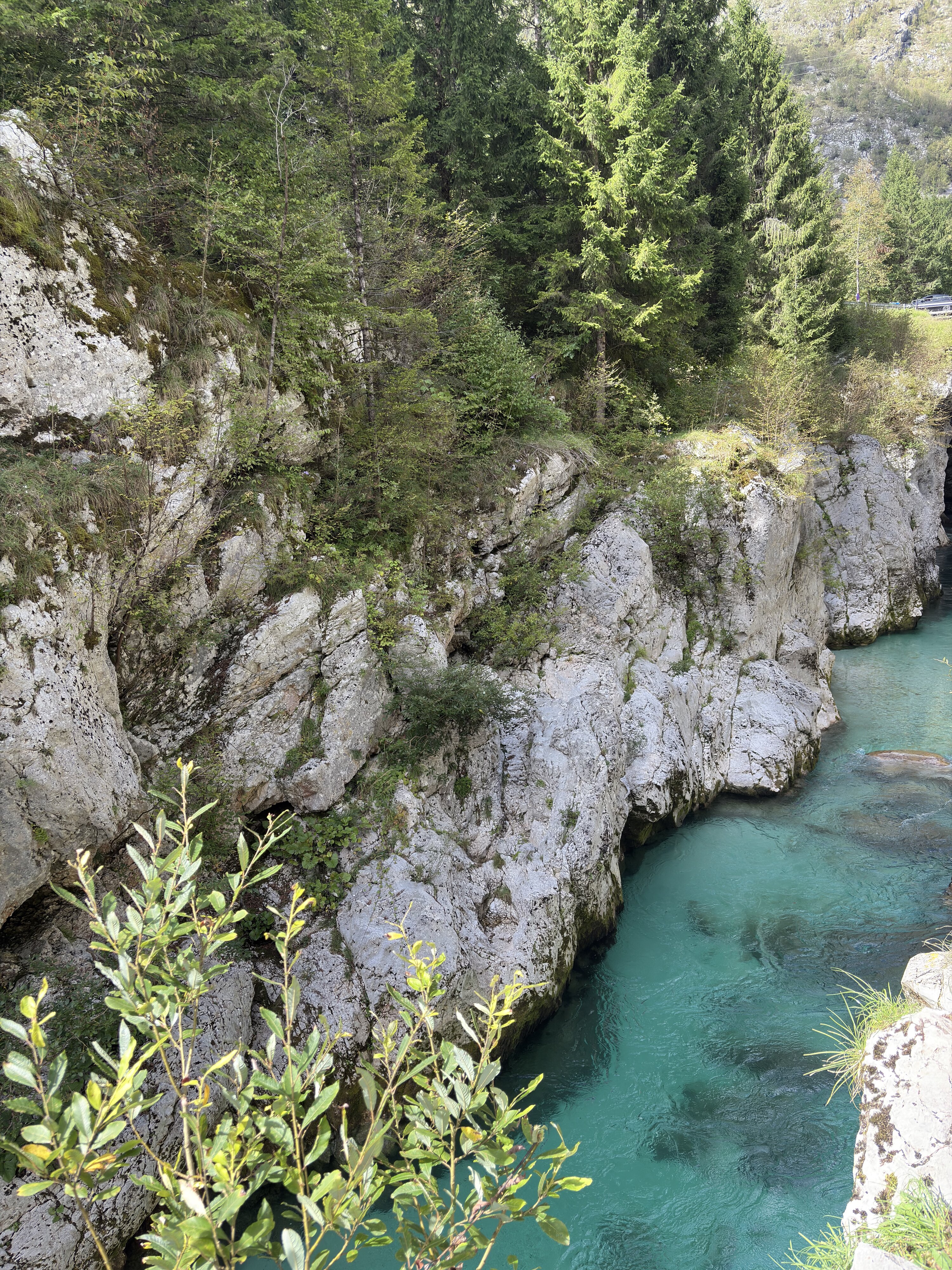 照片 斯洛文尼亚(Slovenia) 索查河(Soca River) 2025-09 149