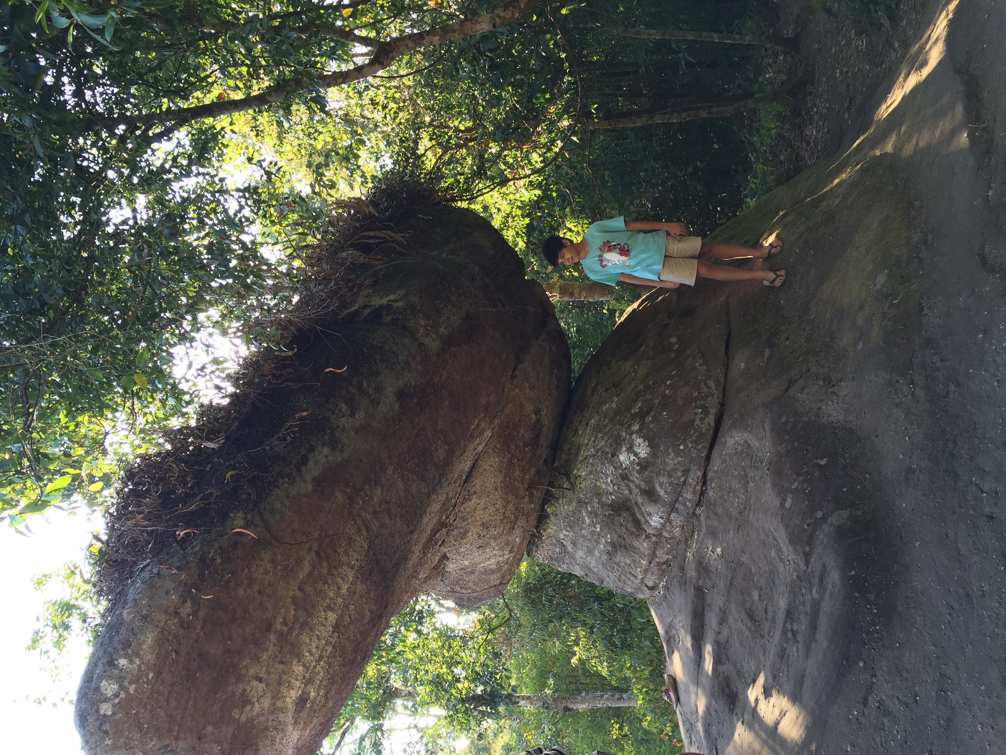 照片 泰国(Thailand) 普欣隆卡国家公园(Phu Hin Rong Kla National Park) 2014-12 256