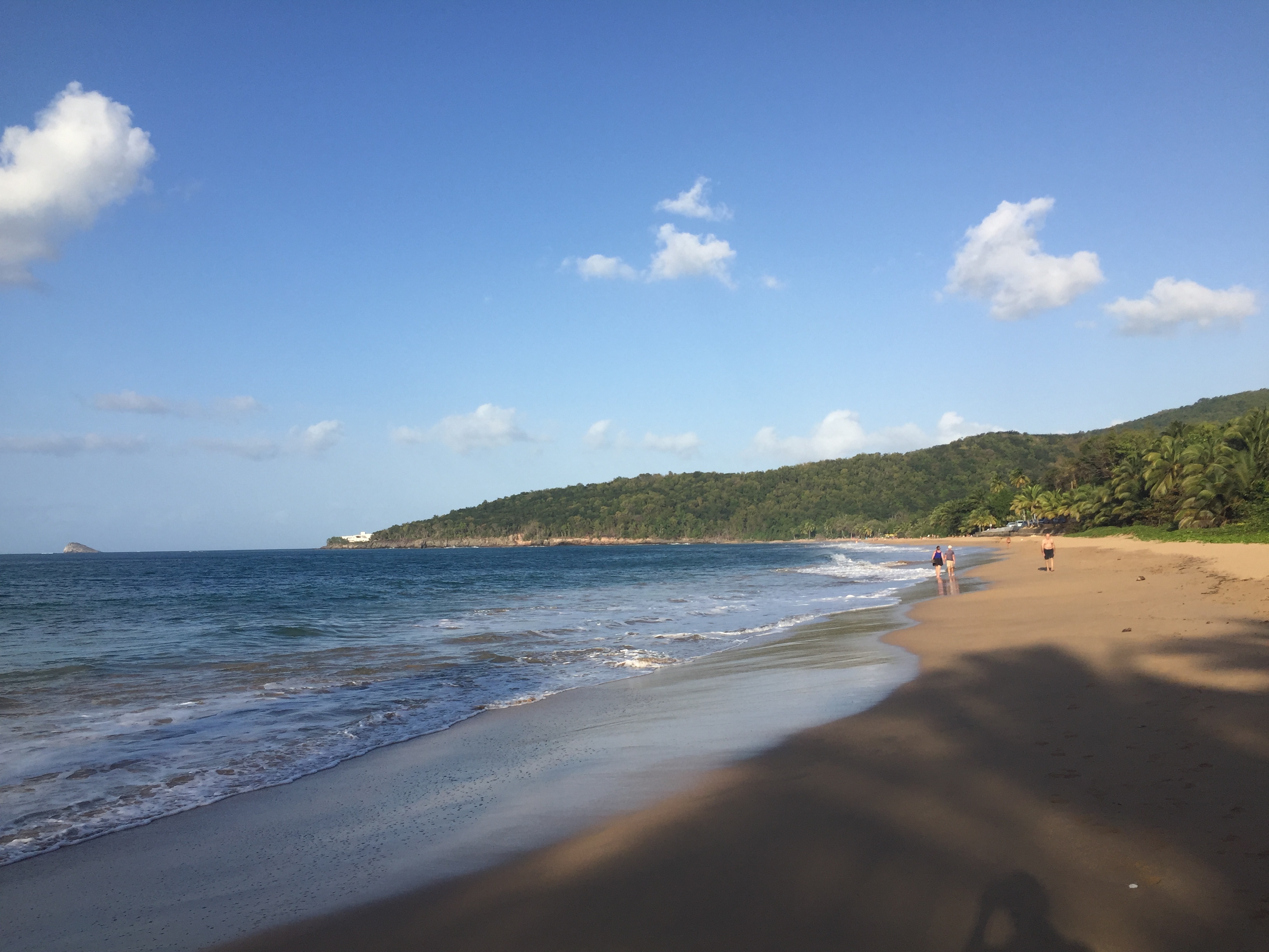 照片 瓜德罗普(Guadeloupe) 珍珠海滩(La Perle Beach) 2021-02 124