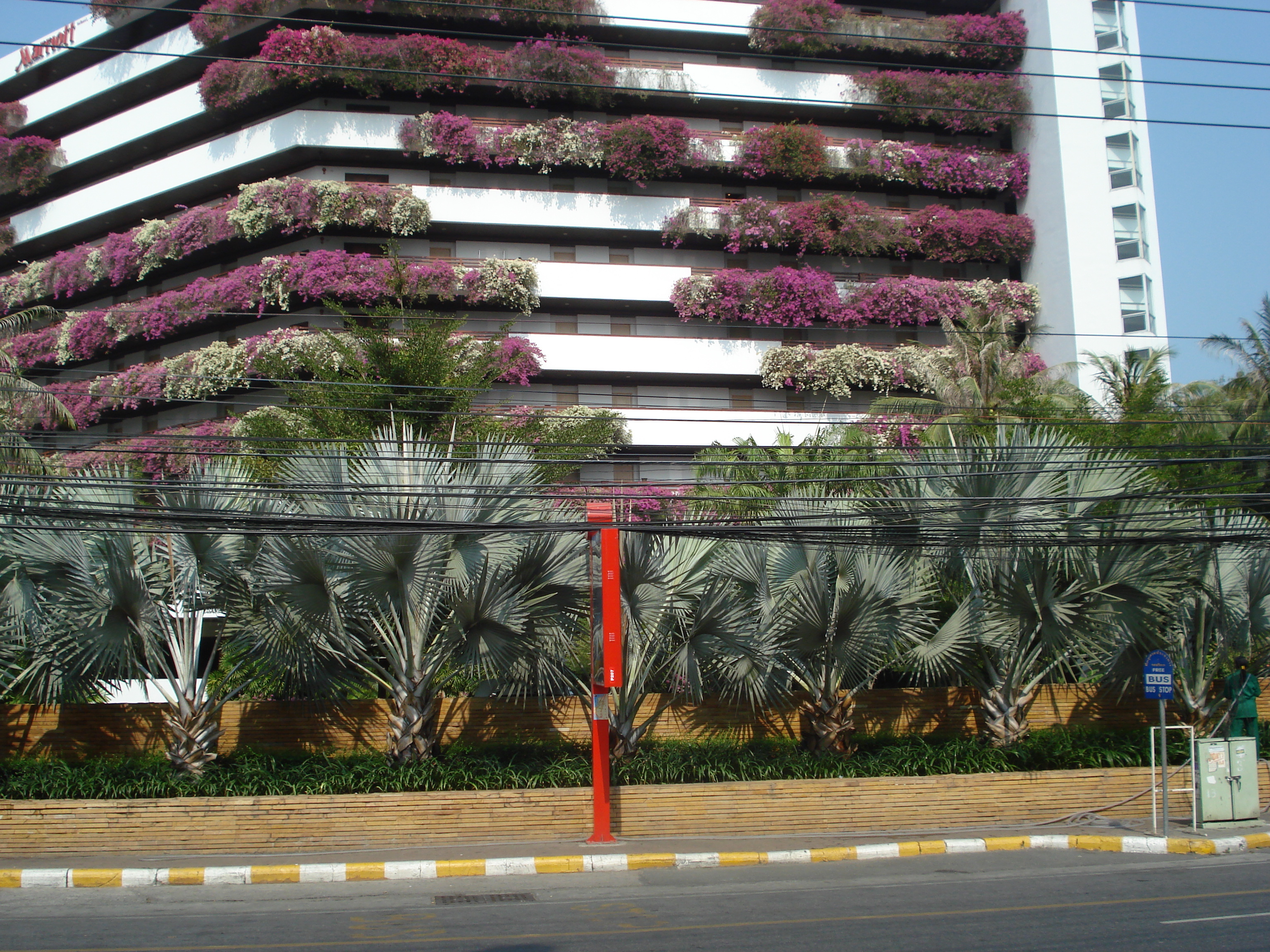 照片 泰国(Thailand) 芭提雅(Pattaya) 芭提雅二路(Pattaya 2nd road) 2008-01 12