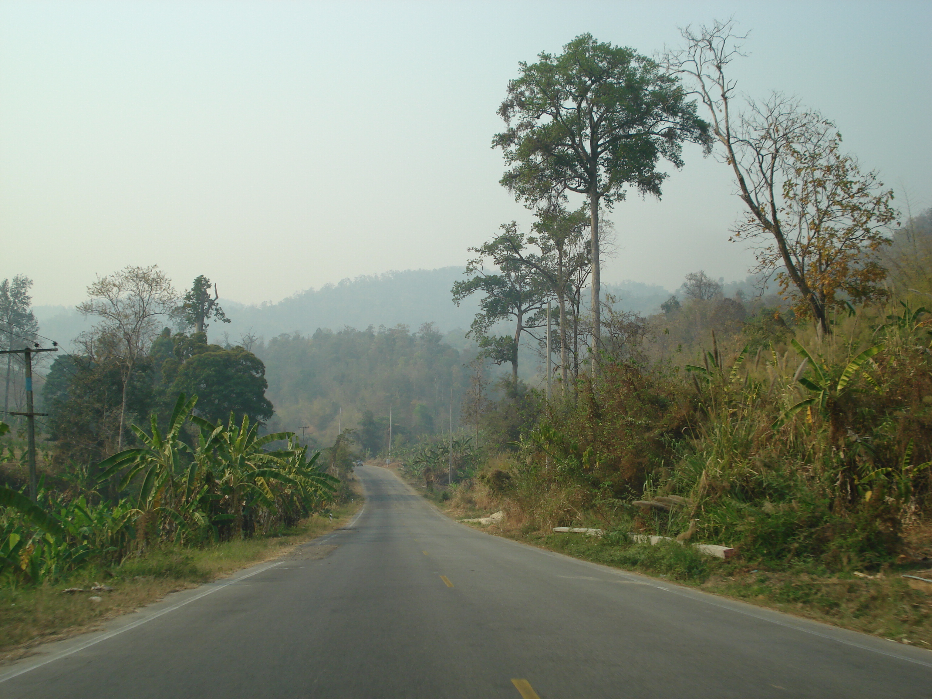 照片 泰国(Thailand) 清迈至拜县公路(Chiang Mai to Pai road) 2007-02 23
