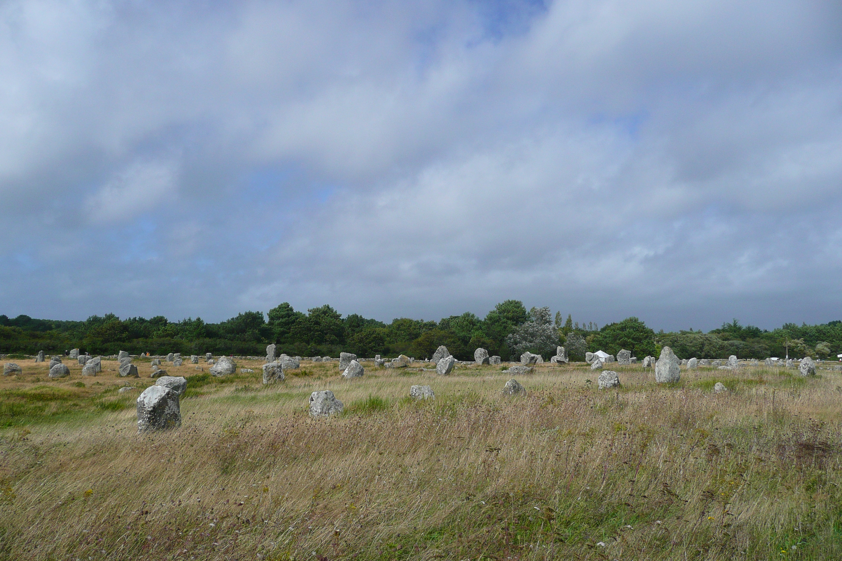 照片 法国(France) 卡纳克(Carnac) 2008-07 12
