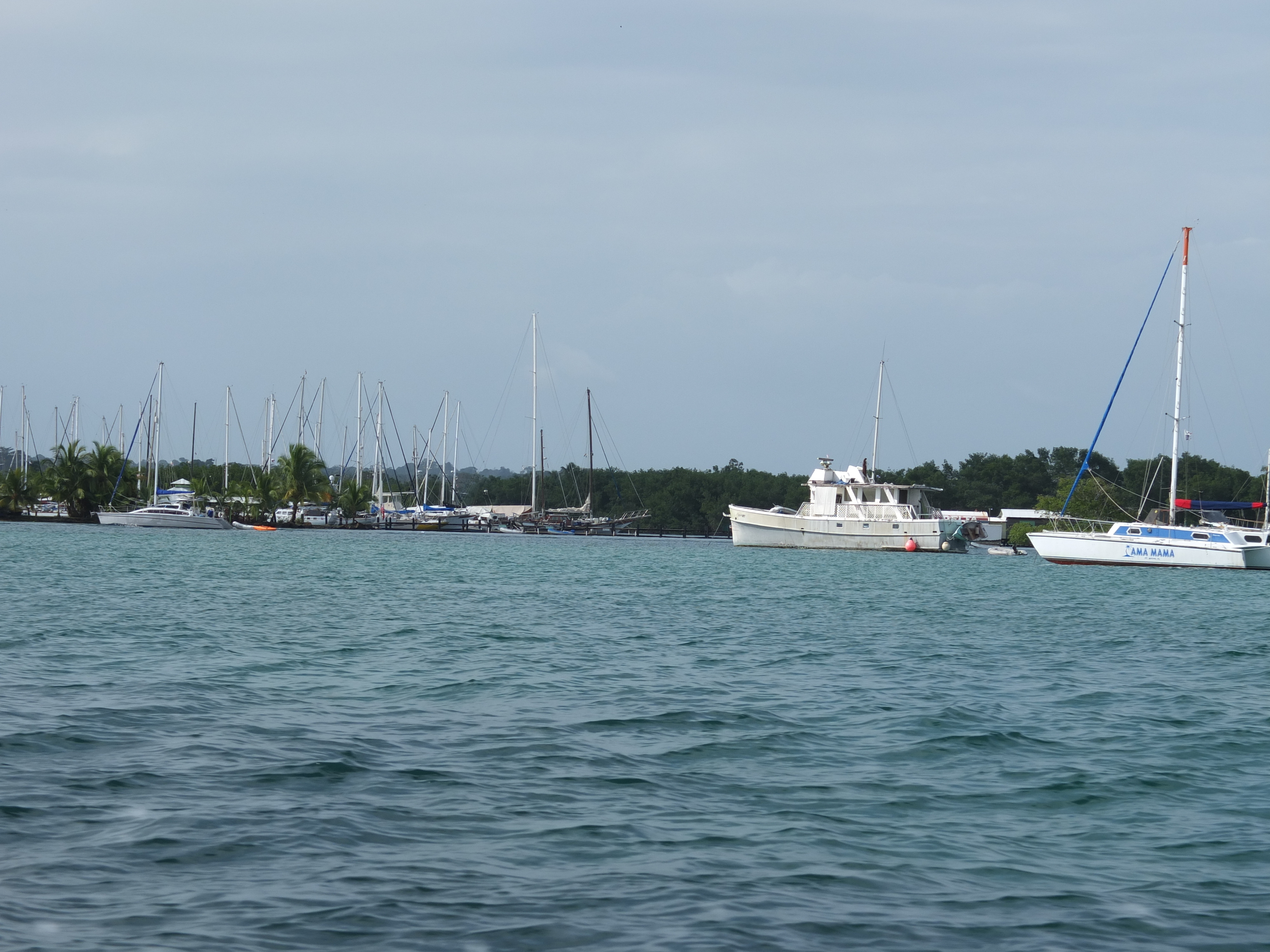 照片 巴拿马(Panama) 博卡斯德尔托罗(Bocas del toro) 2015-03 65