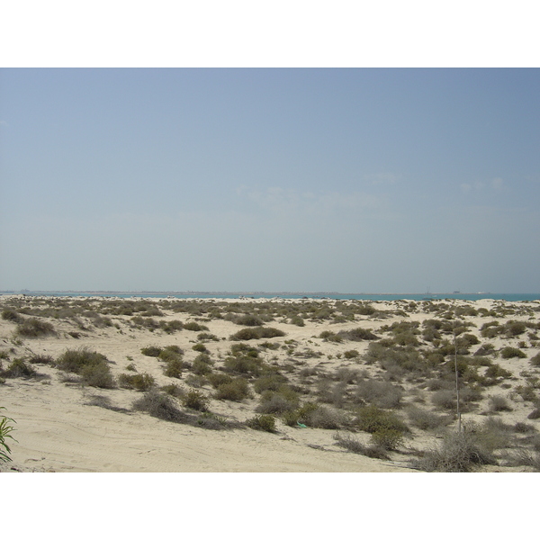 照片 阿联酋(United Arab Emirates) 迪拜(Dubai) 朱美拉海滩(Jumeirah Beach) 2005-03 9