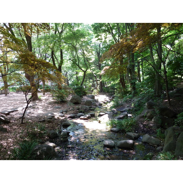 照片 日本(Japan) 东京(Tokyo) 芝公园(Shiba Park) 2010-06 67