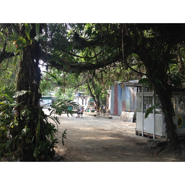 照片 哥斯达黎加(Costa Rica) 曼努埃尔安东尼奥(Manuel Antonio) 2015-03 382